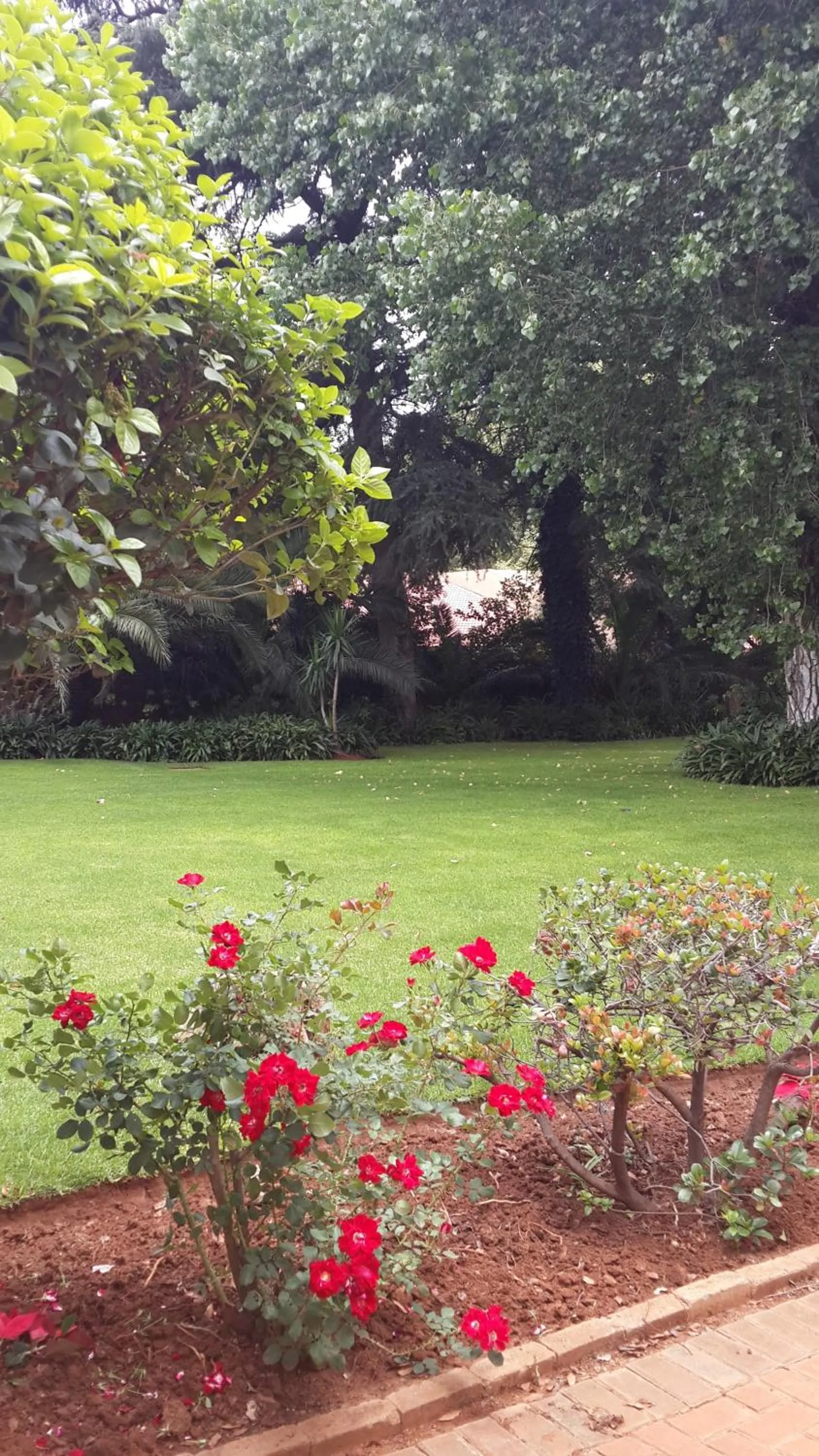 Garden in The Shakespeare Inn