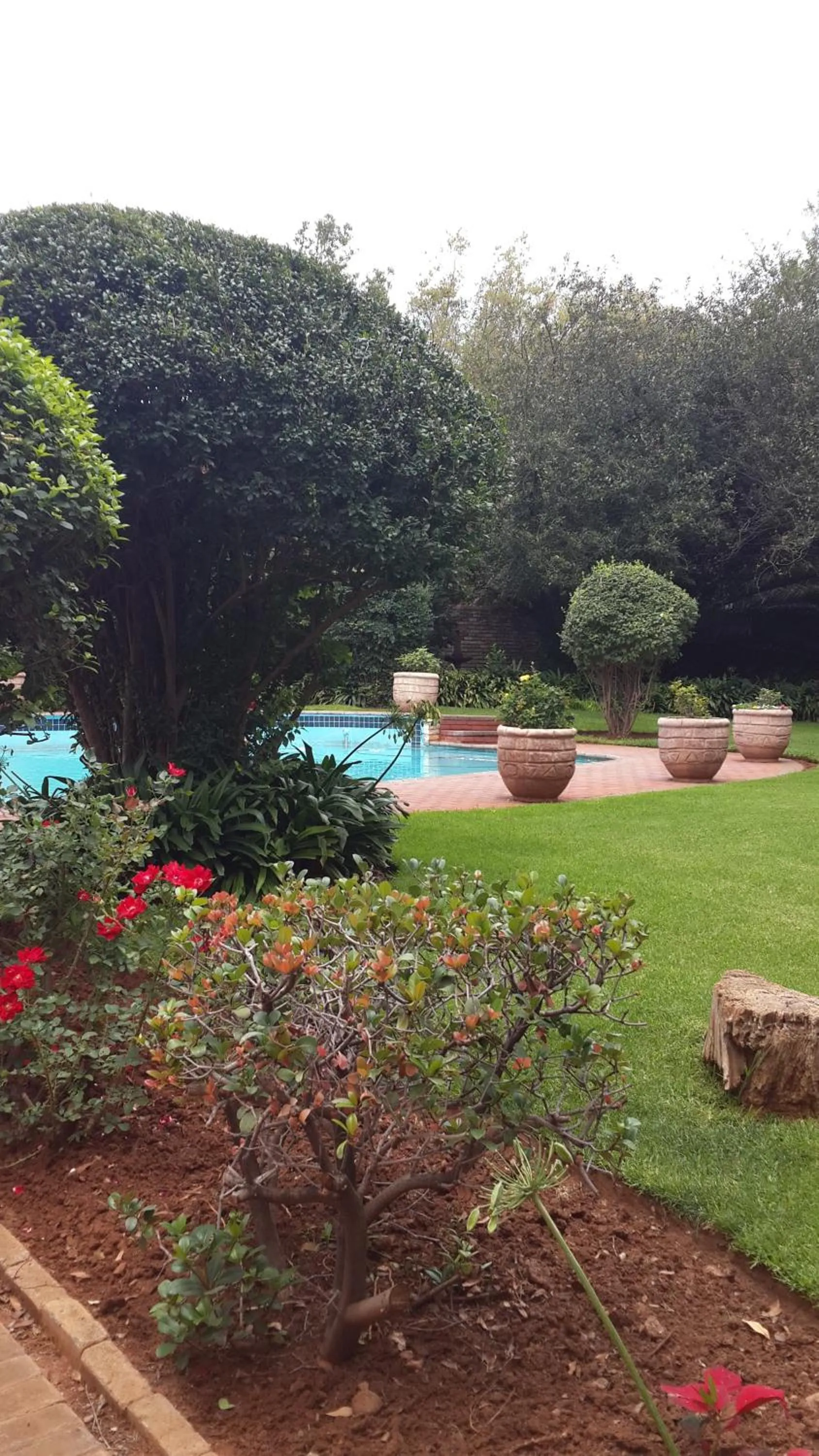 Garden in The Shakespeare Inn