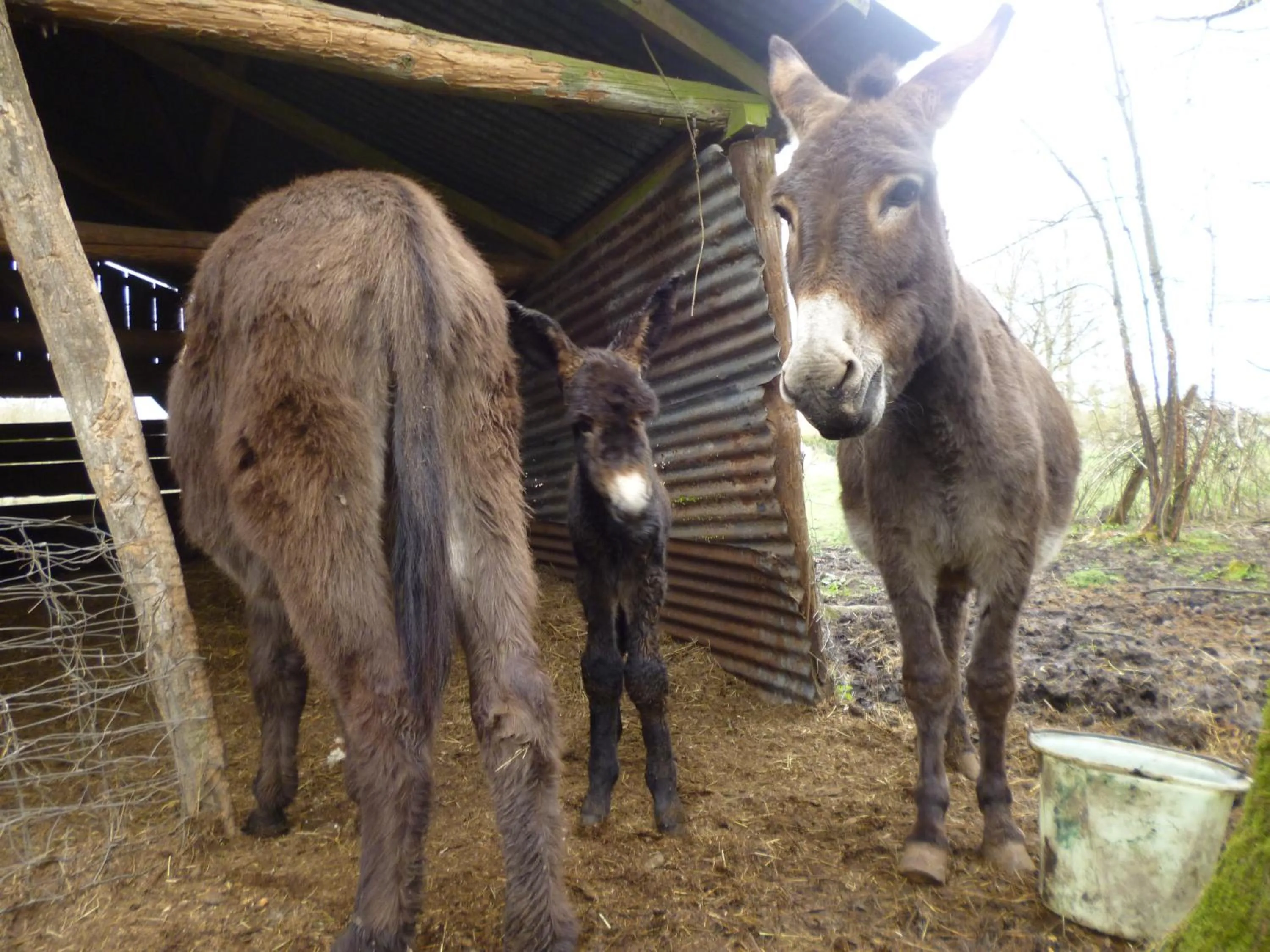 Spring in Maison d'hôtes Moulin du Bas Pesé