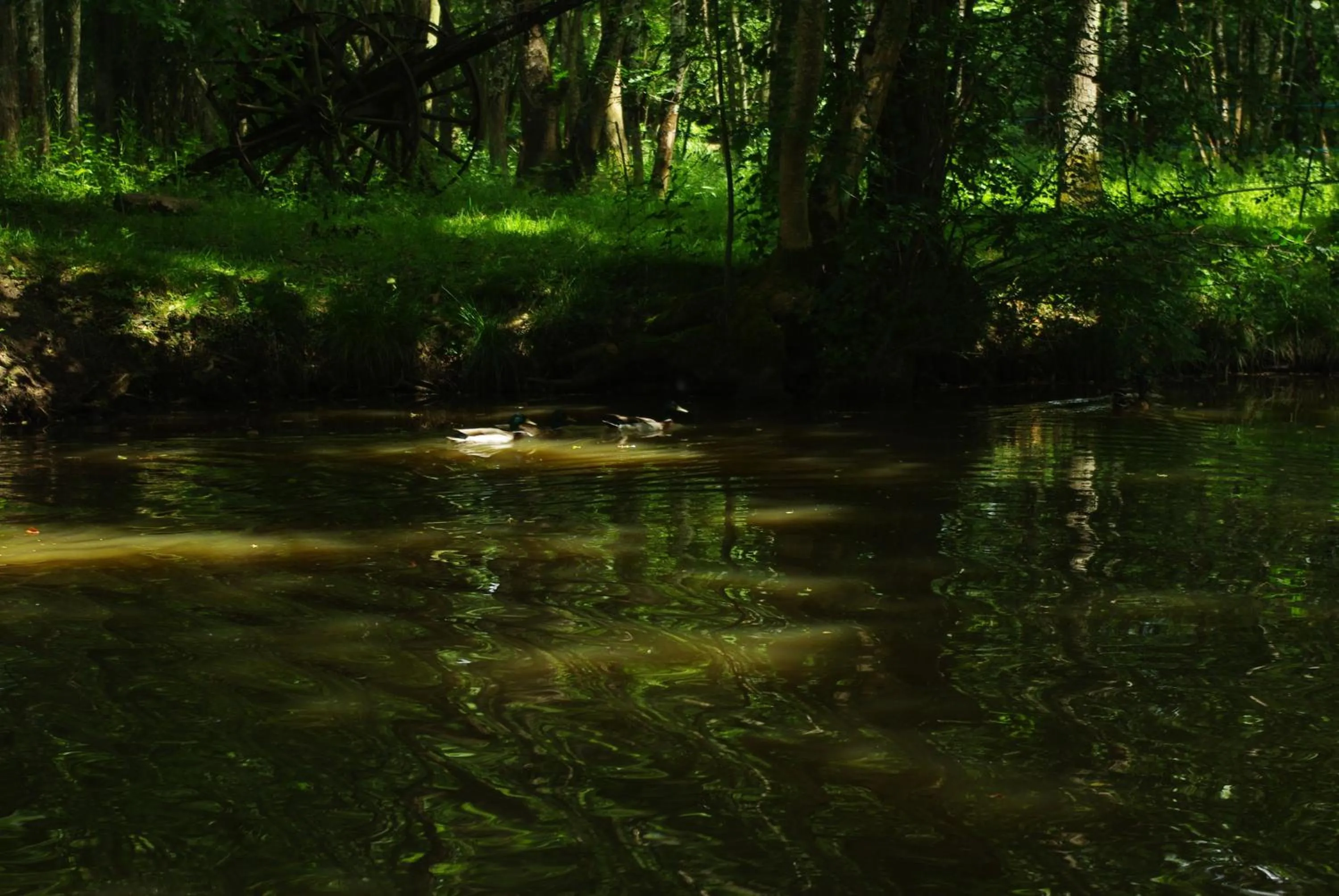 Fishing in Maison d'hôtes Moulin du Bas Pesé