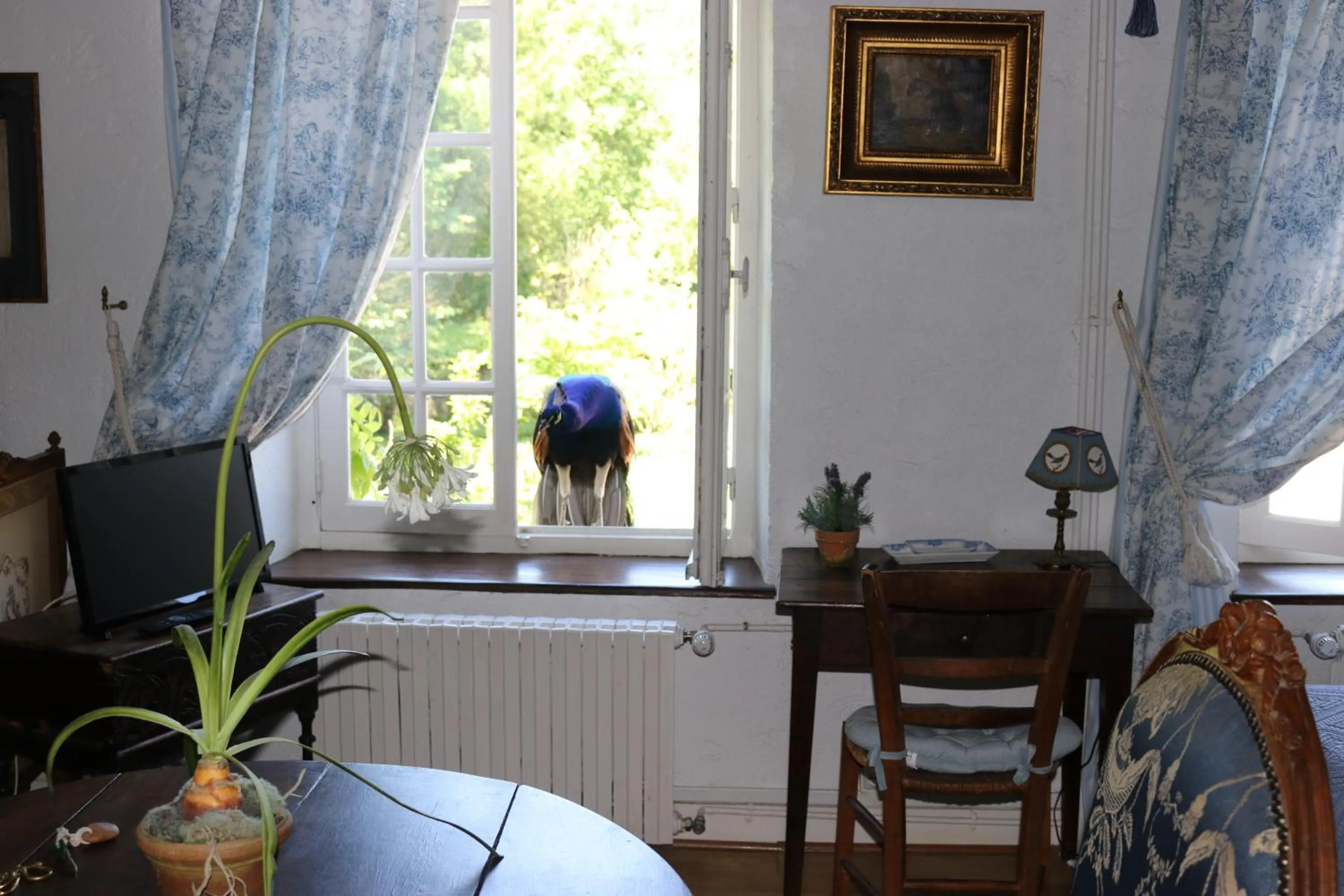 Maison d'hôtes Moulin du Bas Pesé