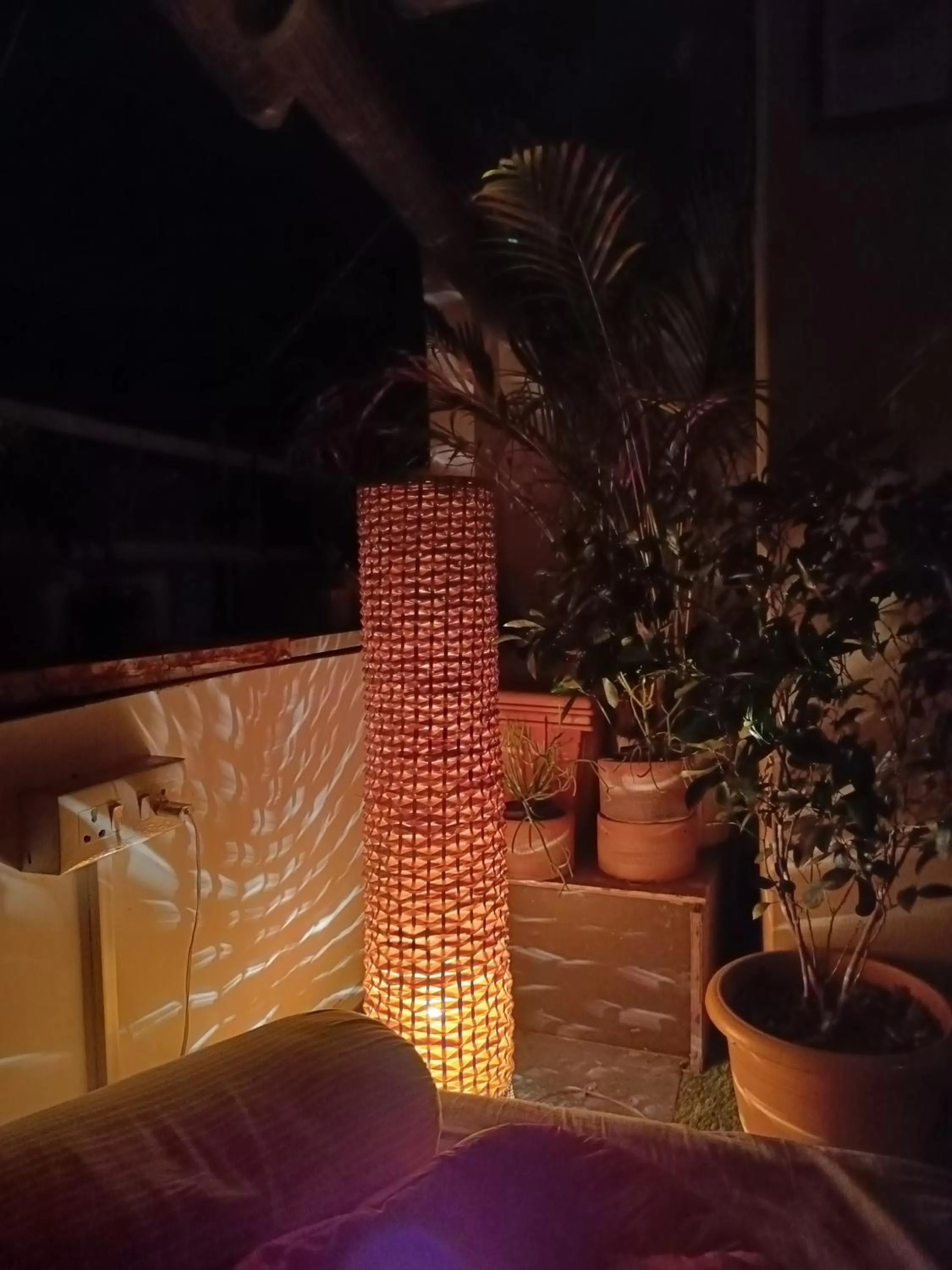 Night in Mellow Fellow Hostel