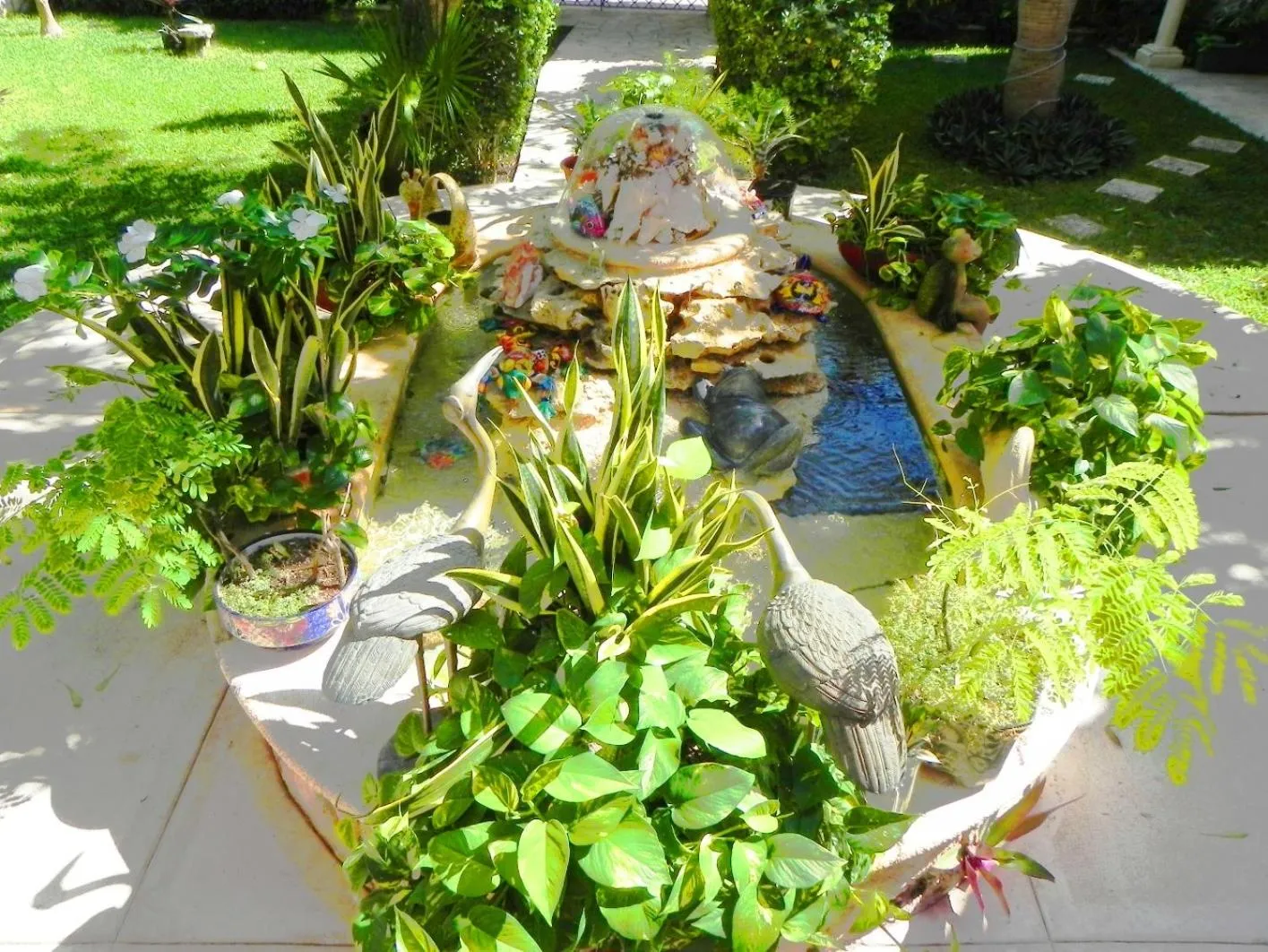 Inner courtyard view in Casa Gatos Suites
