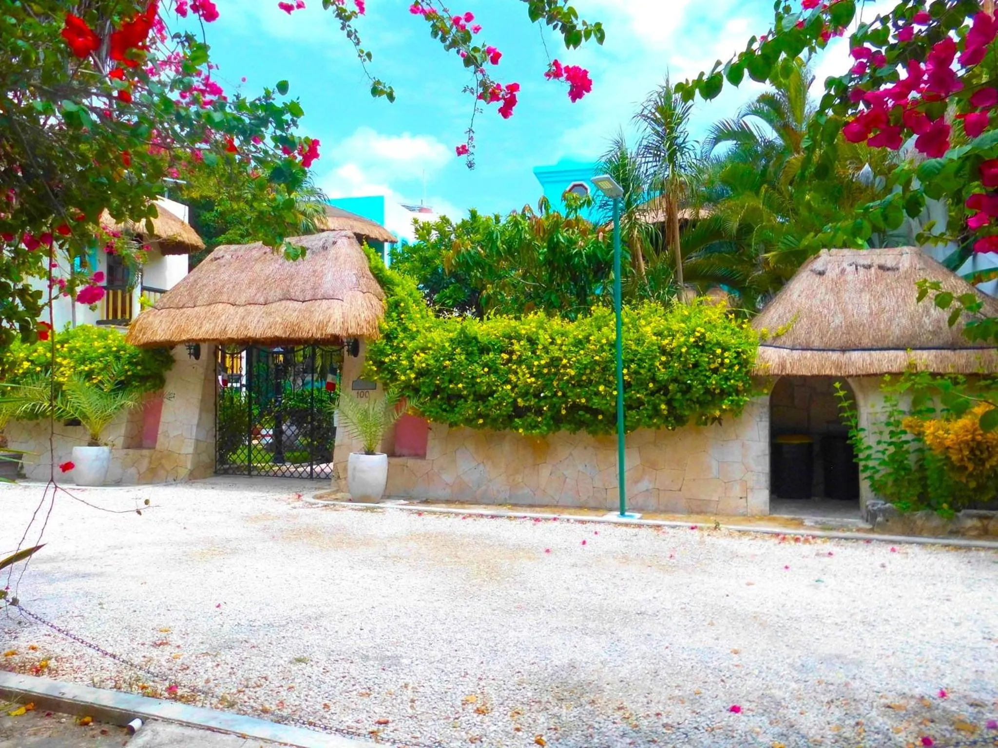 Property building in Casa Gatos Suites