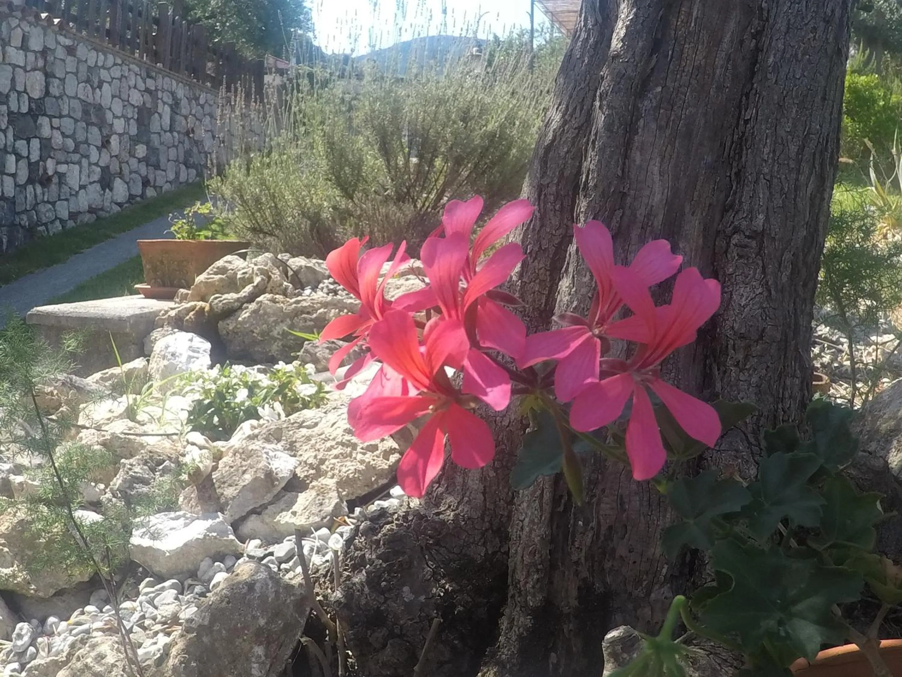 B&B da Maria Teresa - Maratea