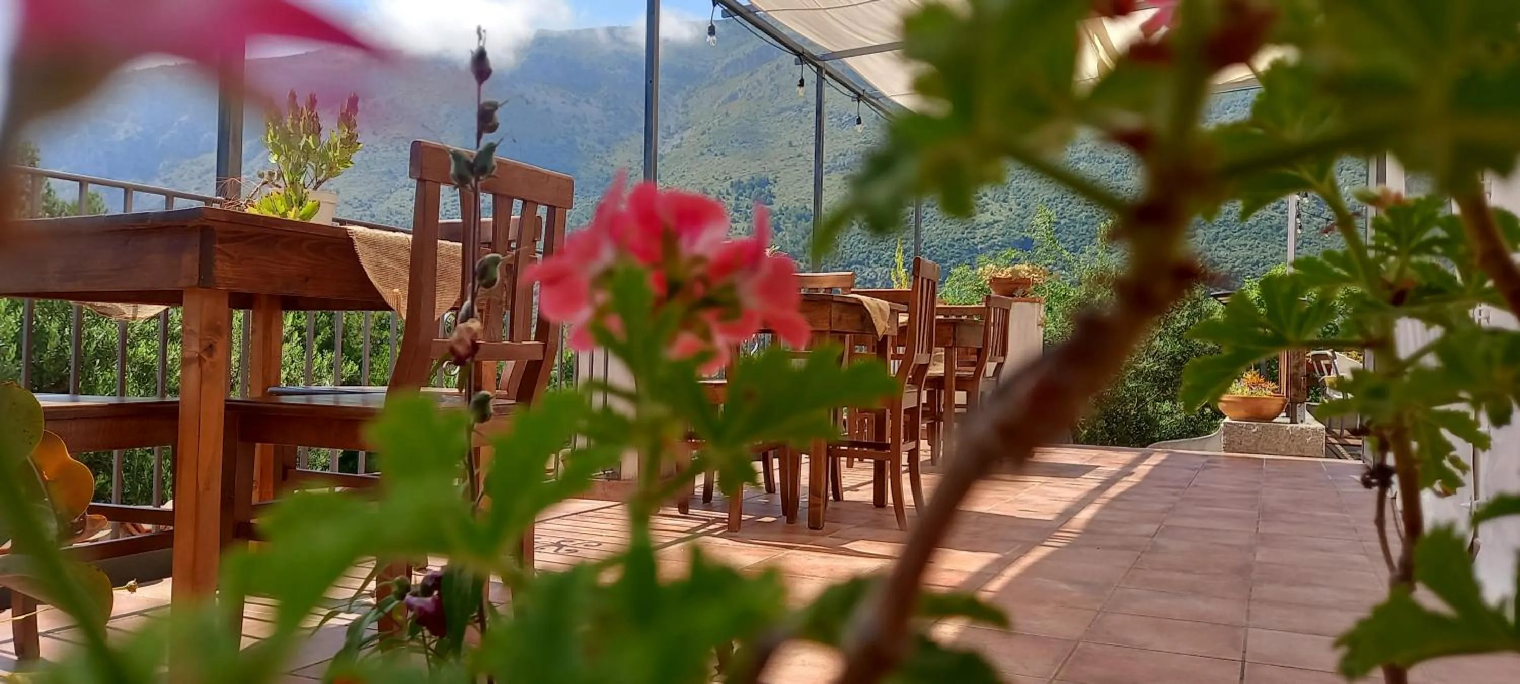 B&B da Maria Teresa - Maratea