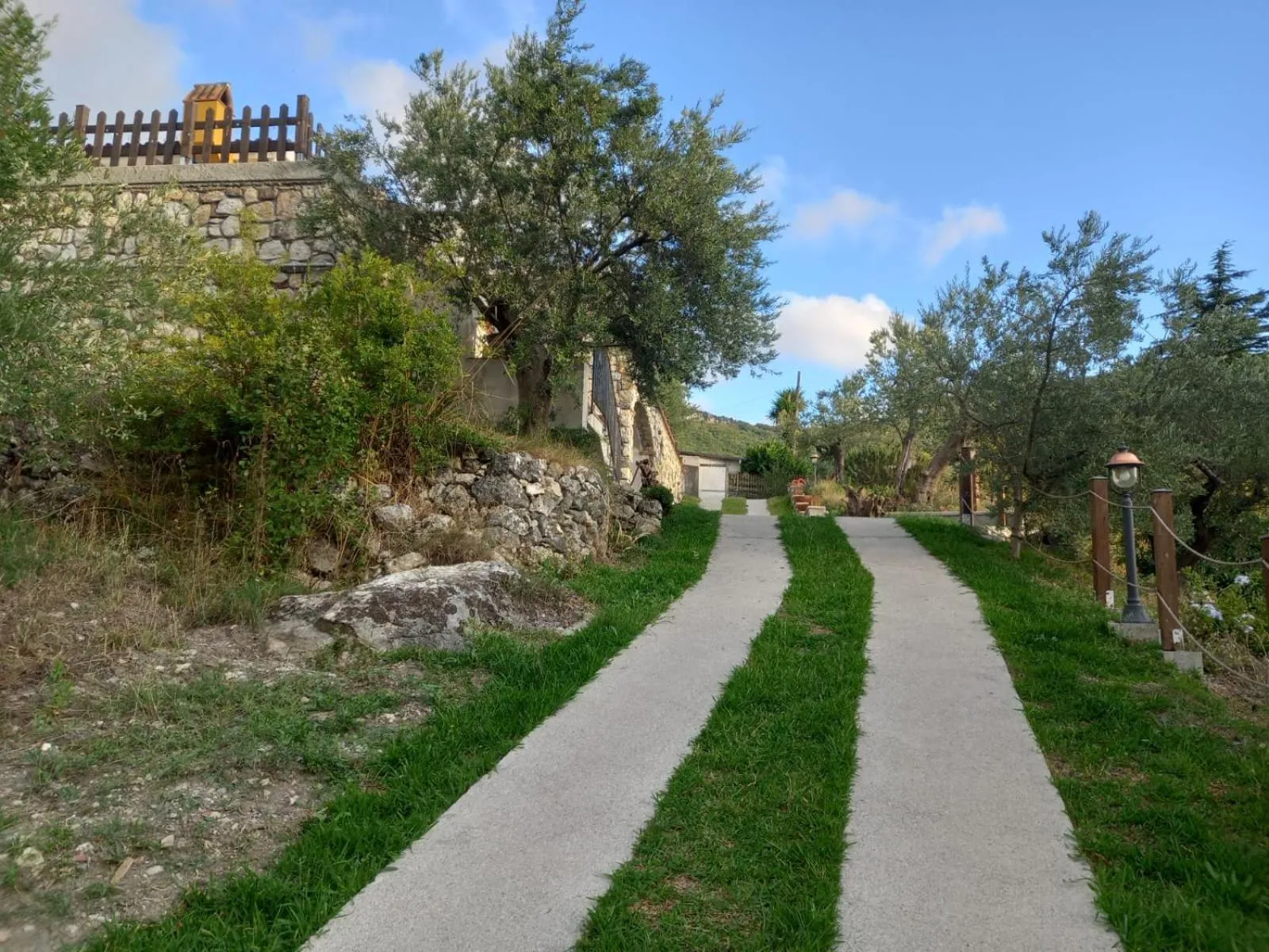 Garden in B&B da Maria Teresa - Maratea