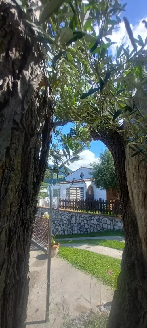 B&B da Maria Teresa - Maratea