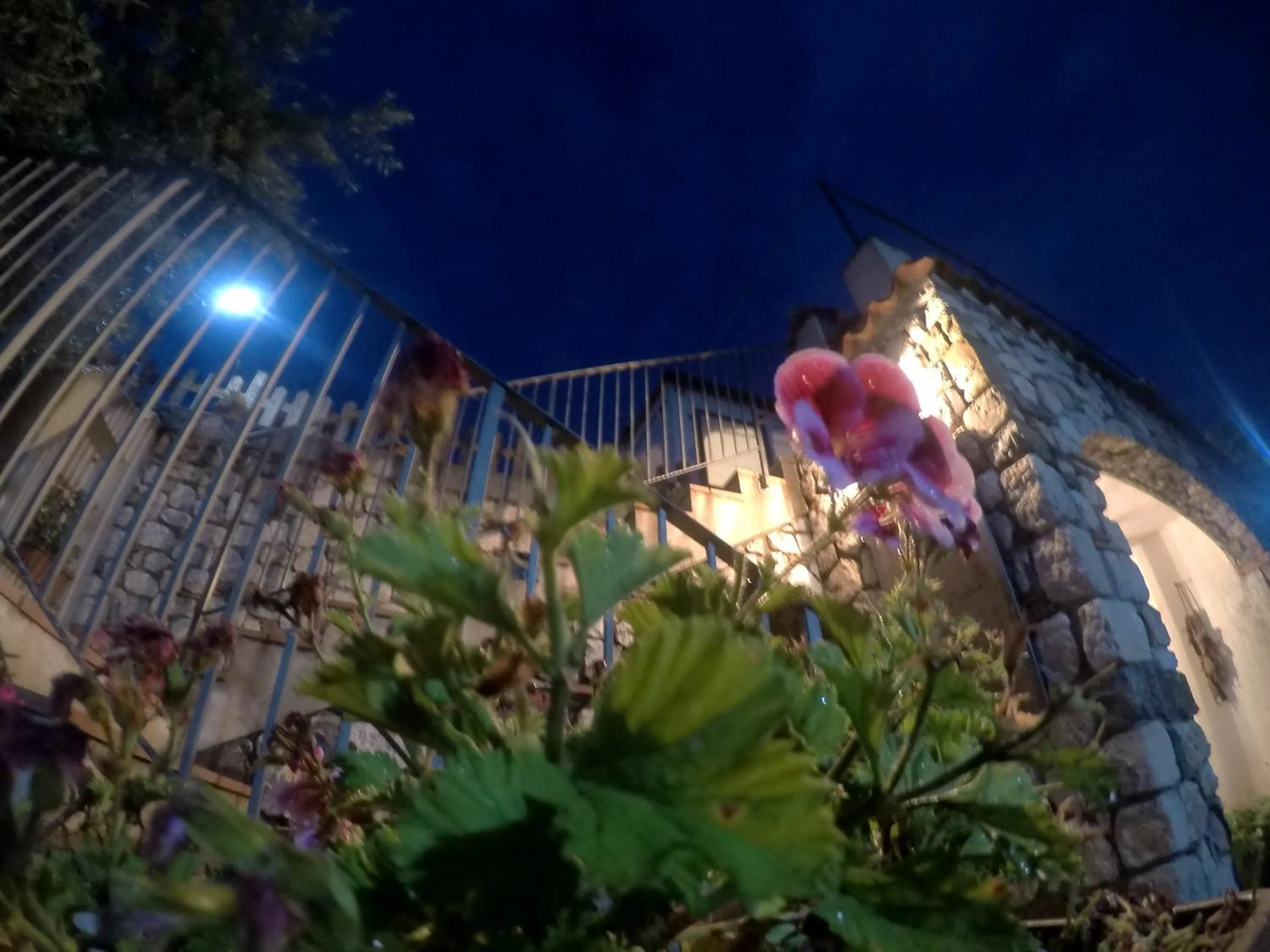 B&B da Maria Teresa - Maratea