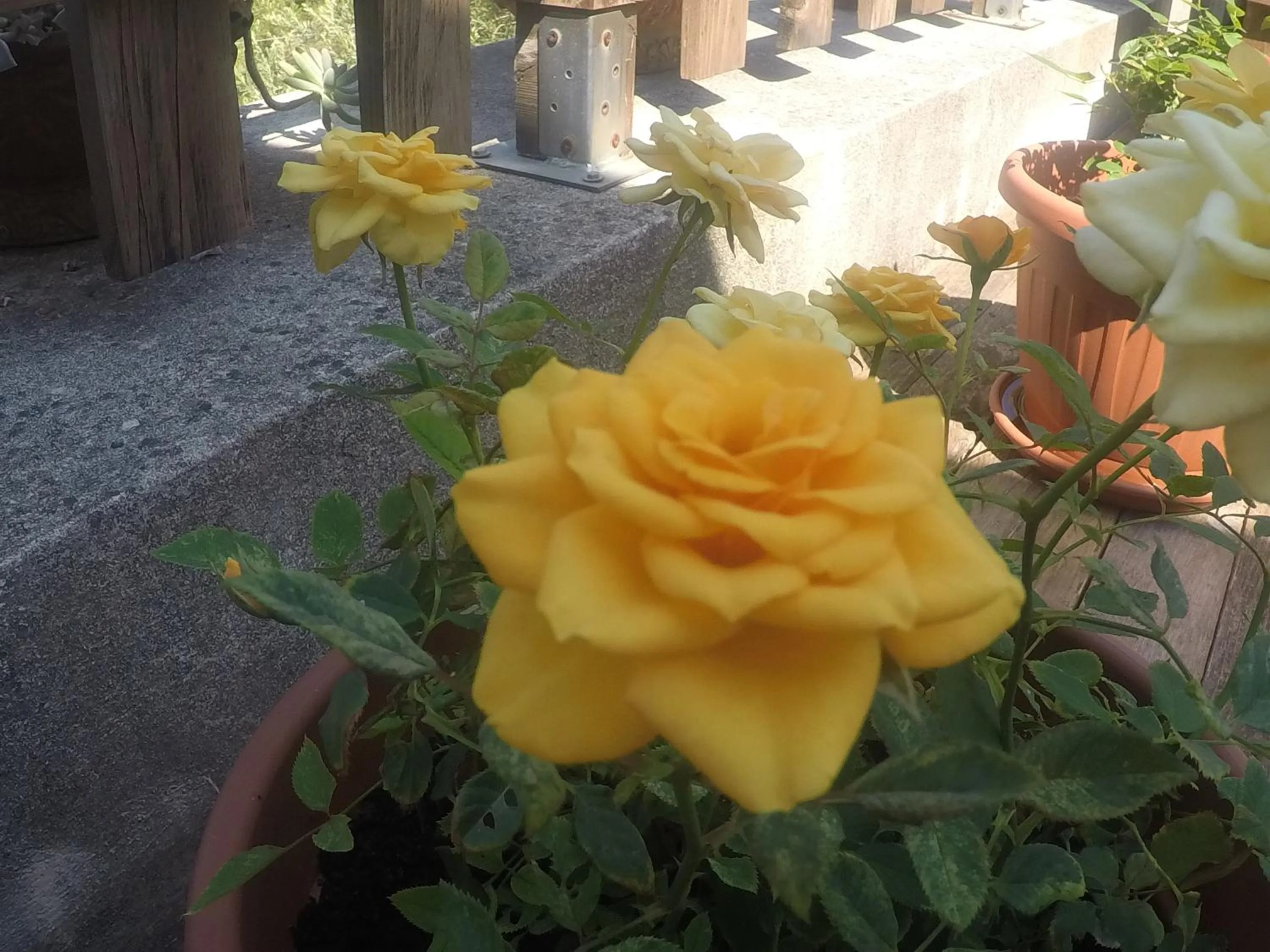 B&B da Maria Teresa - Maratea