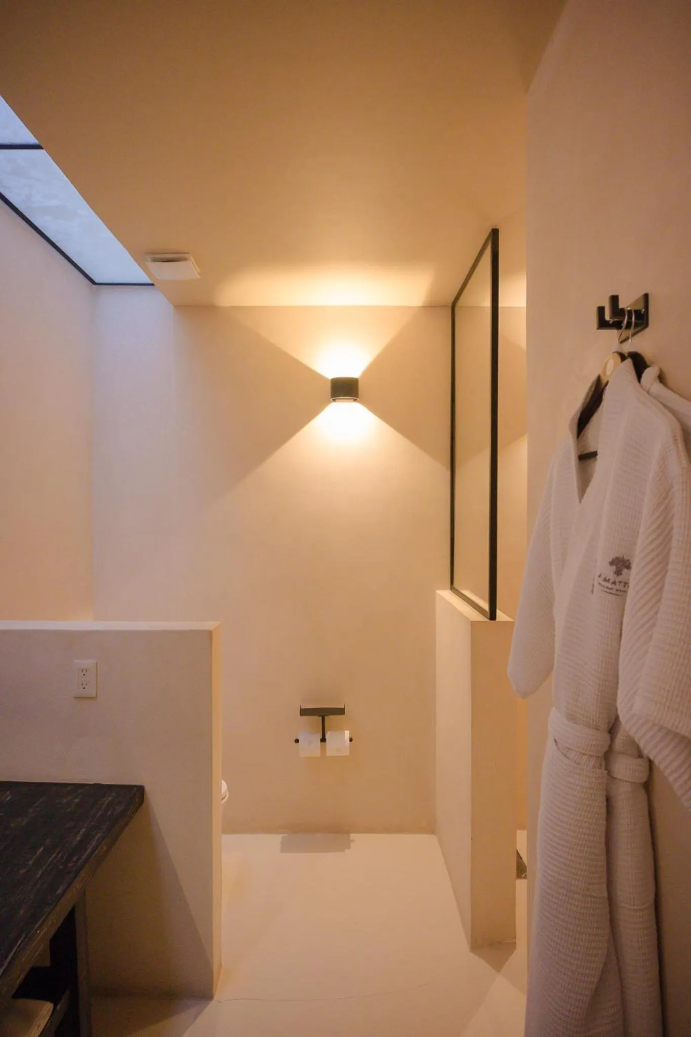 Toilet in Hotel Amatte San Miguel de Allende