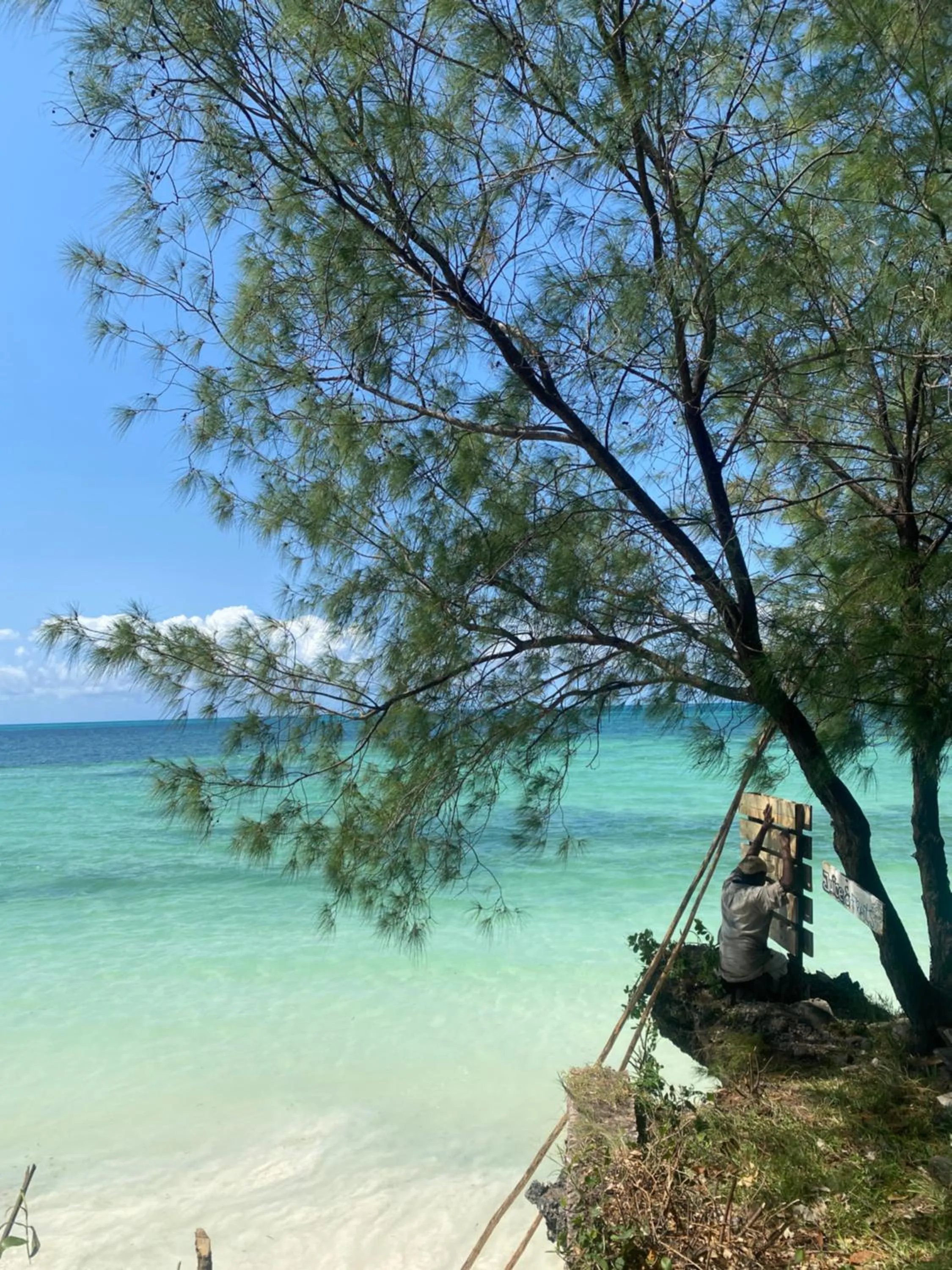 Beach in Mbuyuni Beach Village