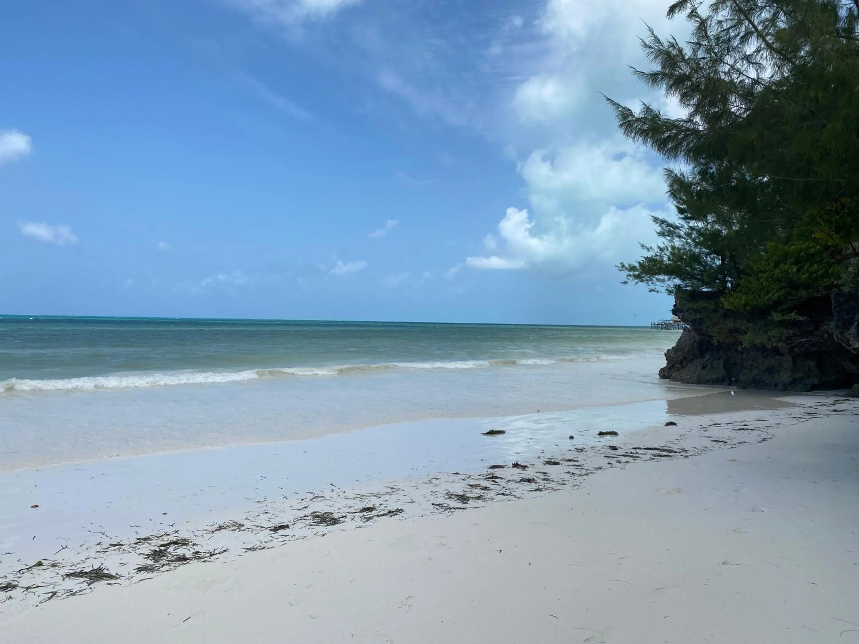 Beach in Mbuyuni Beach Village