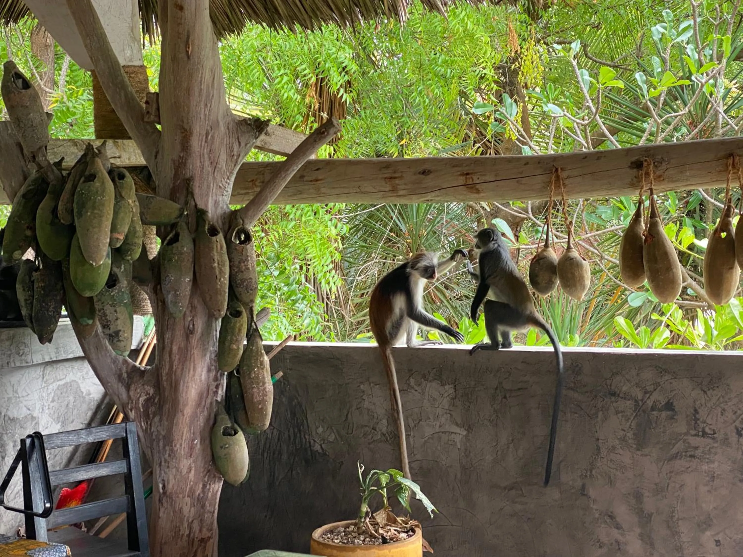 Other in Mbuyuni Beach Village