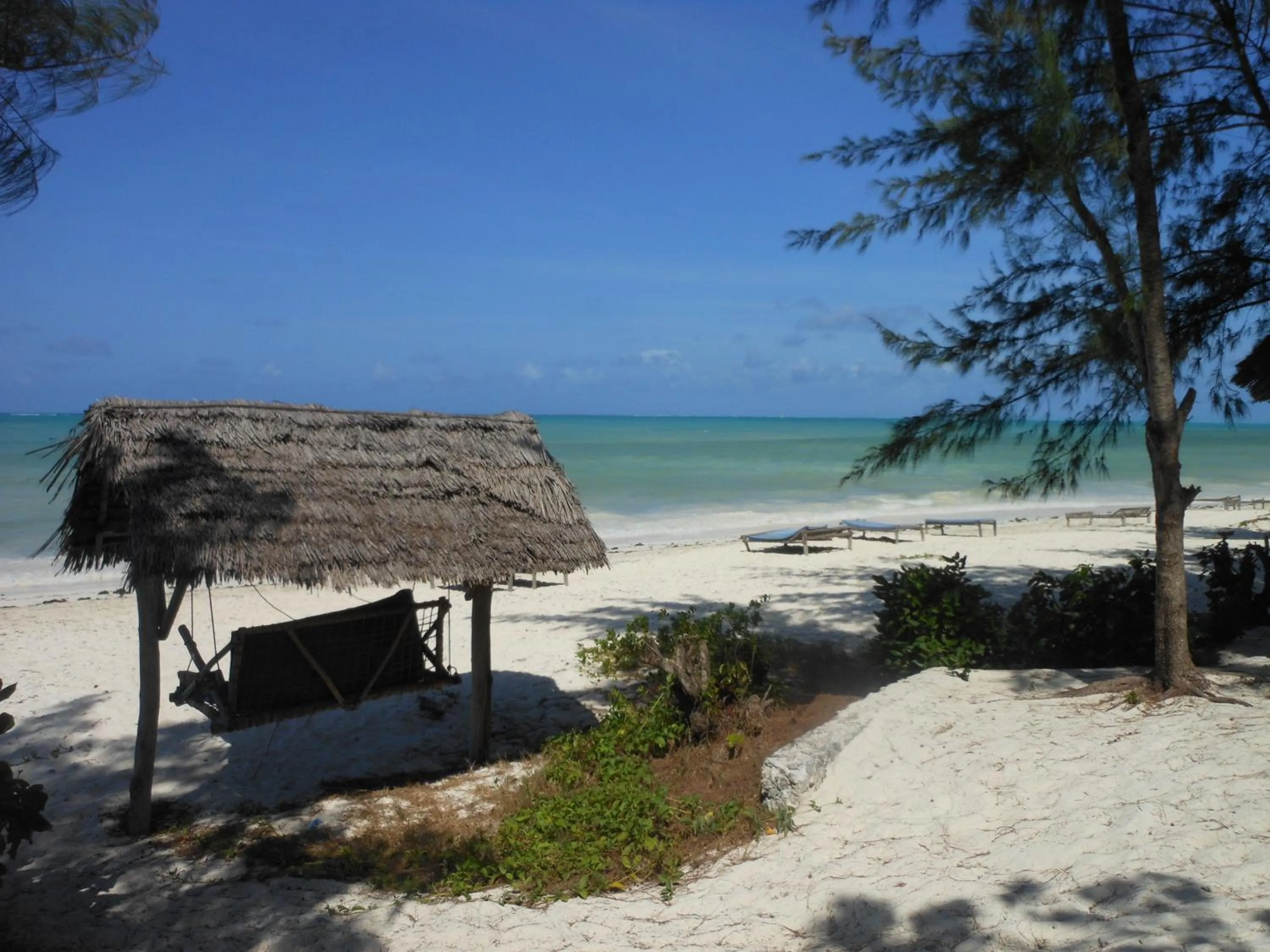 Beach in Mbuyuni Beach Village