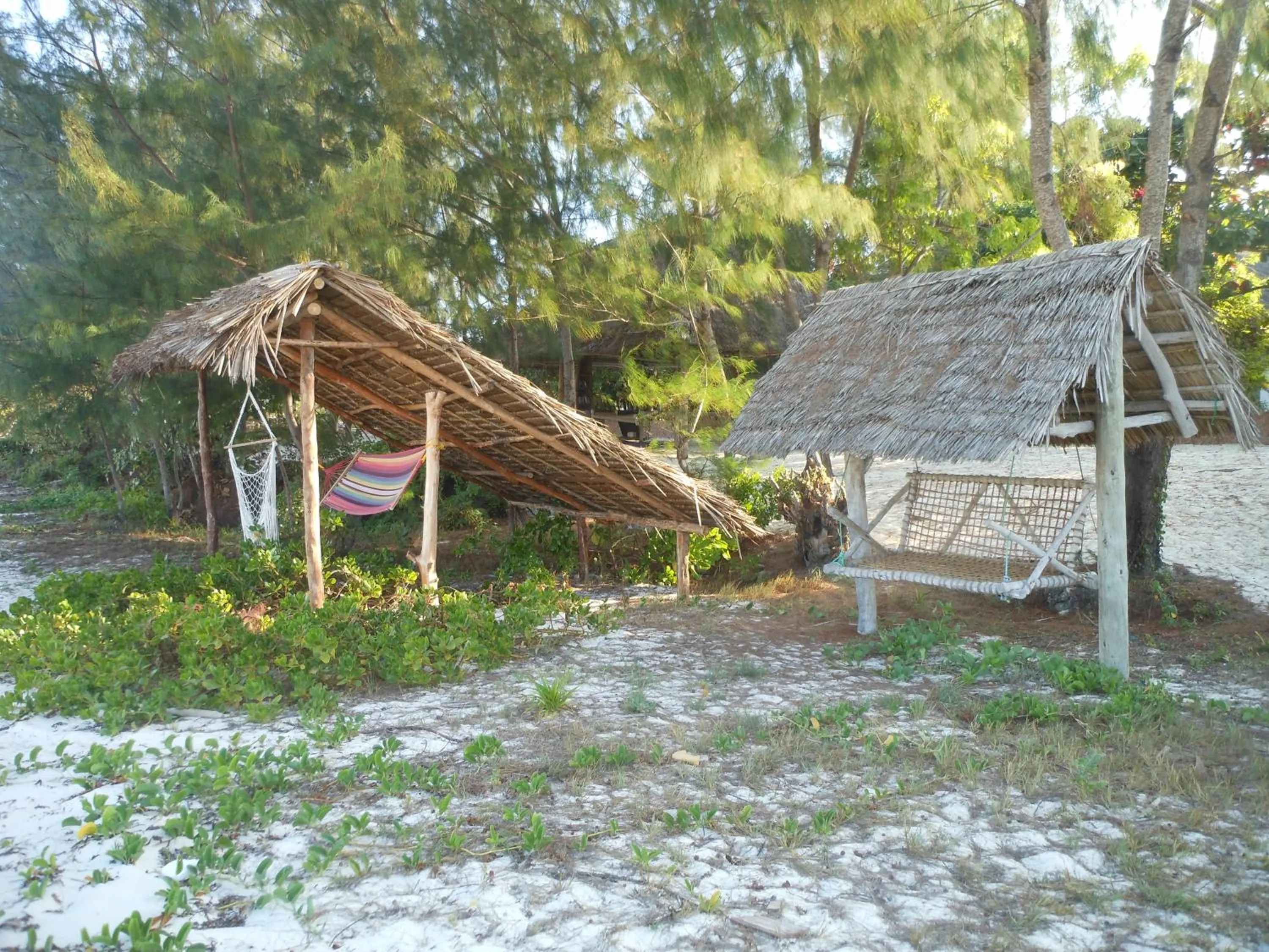Garden in Mbuyuni Beach Village