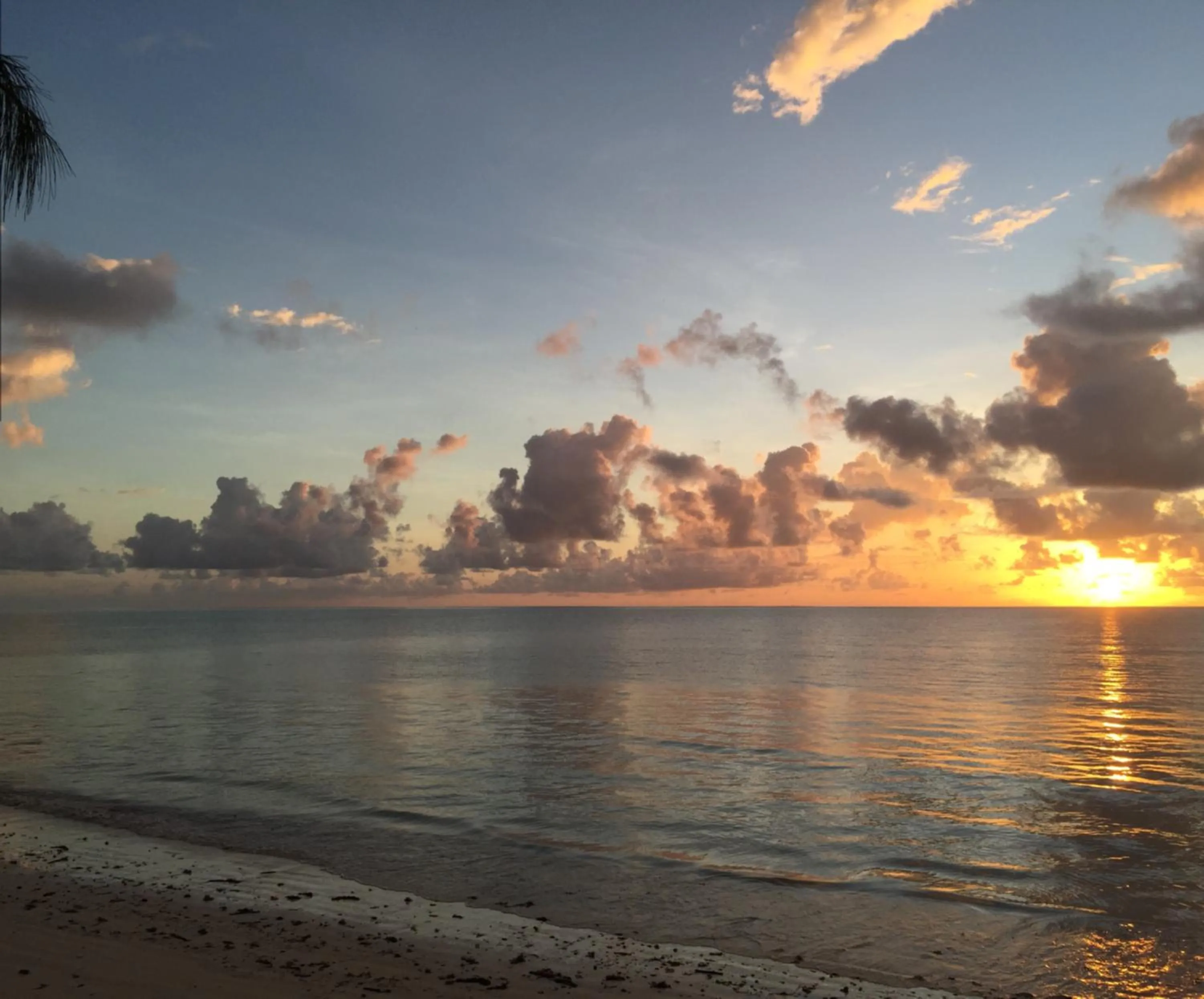 Beach in Mbuyuni Beach Village