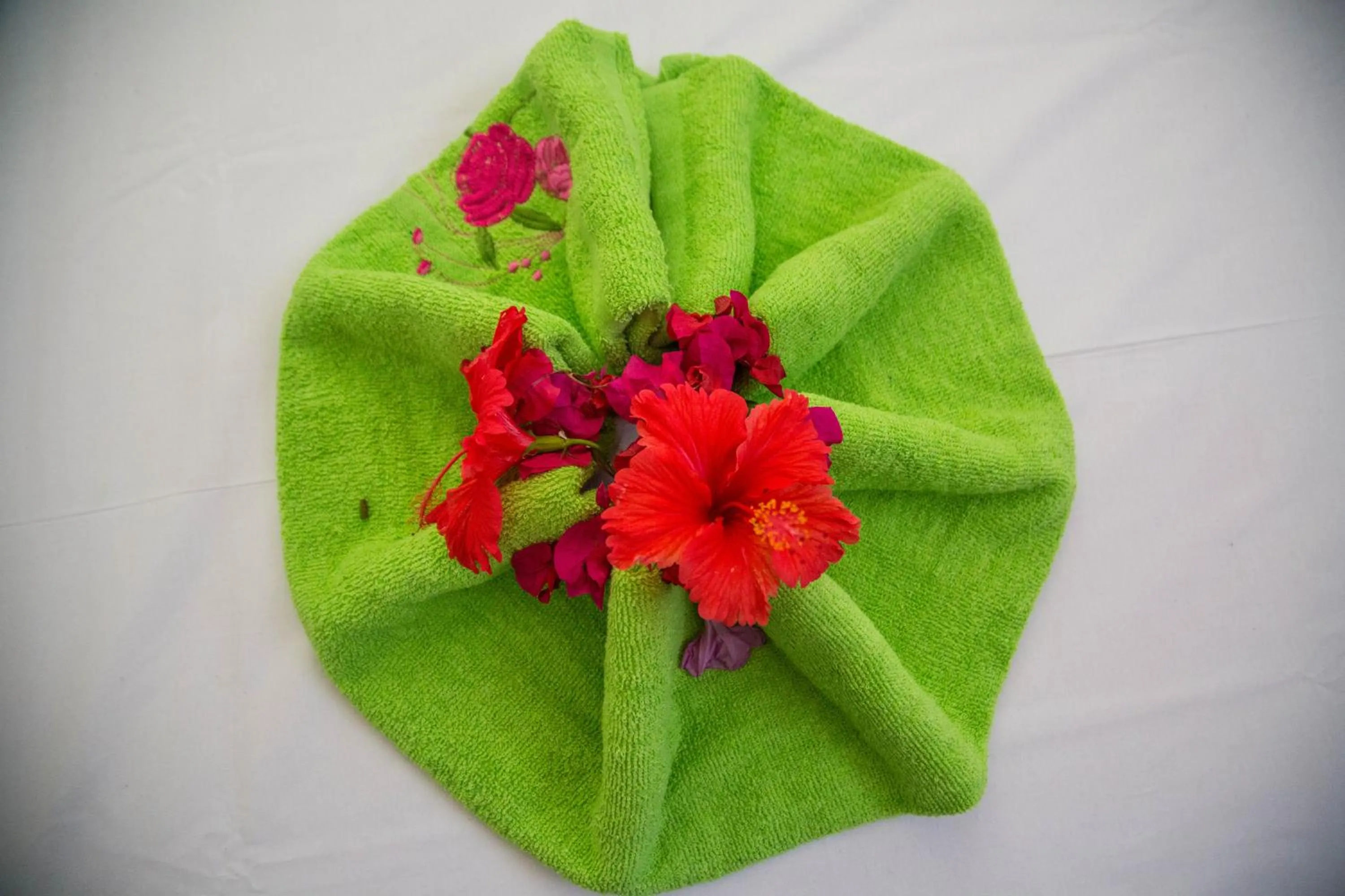 Bed in Mbuyuni Beach Village