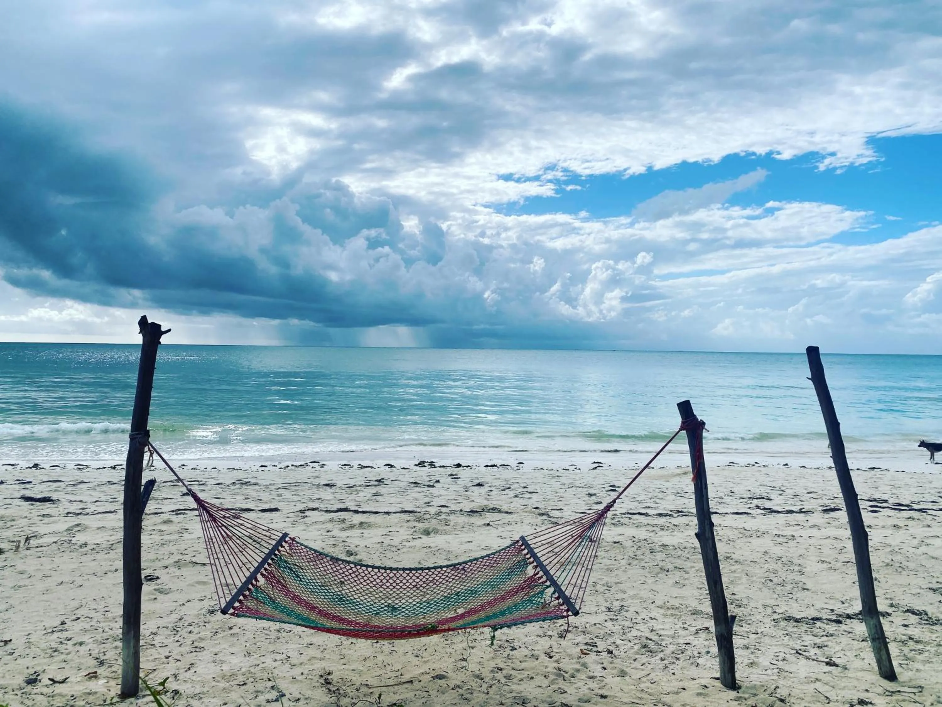 Beach in Mbuyuni Beach Village