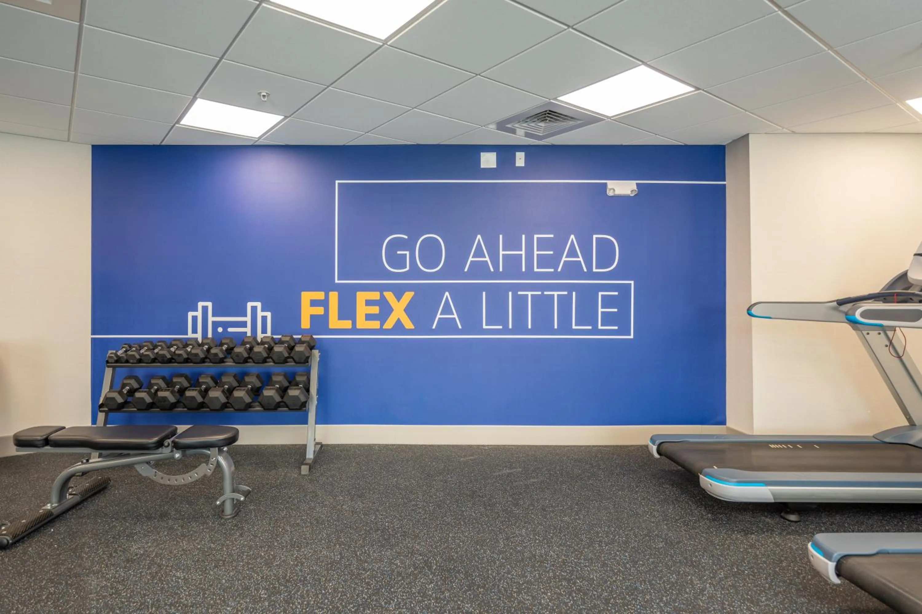 Fitness centre/facilities in Holiday Inn Express & Suites Charlottesville by IHG