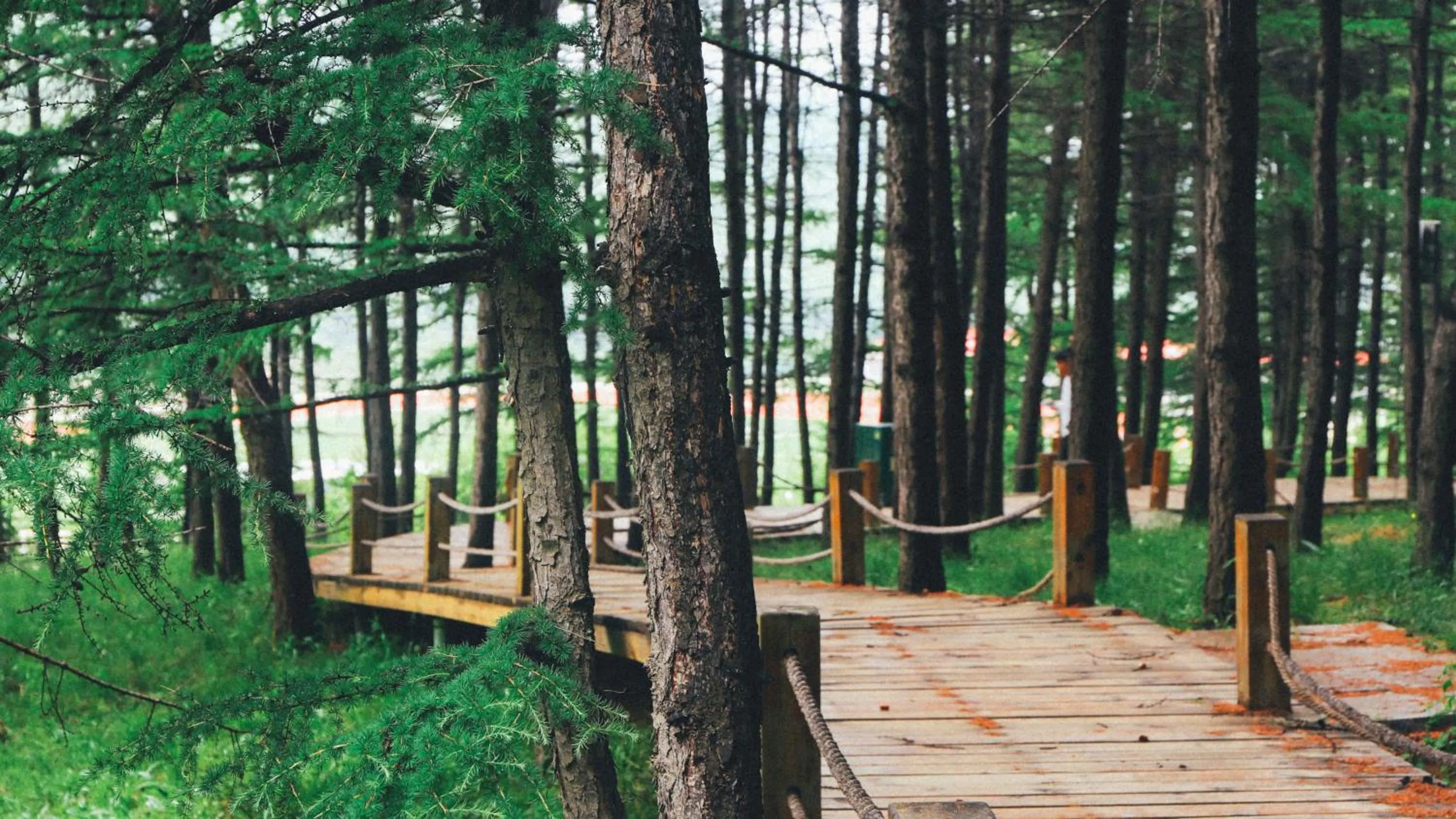 Other in Holiday Inn Express Chongli by IHG