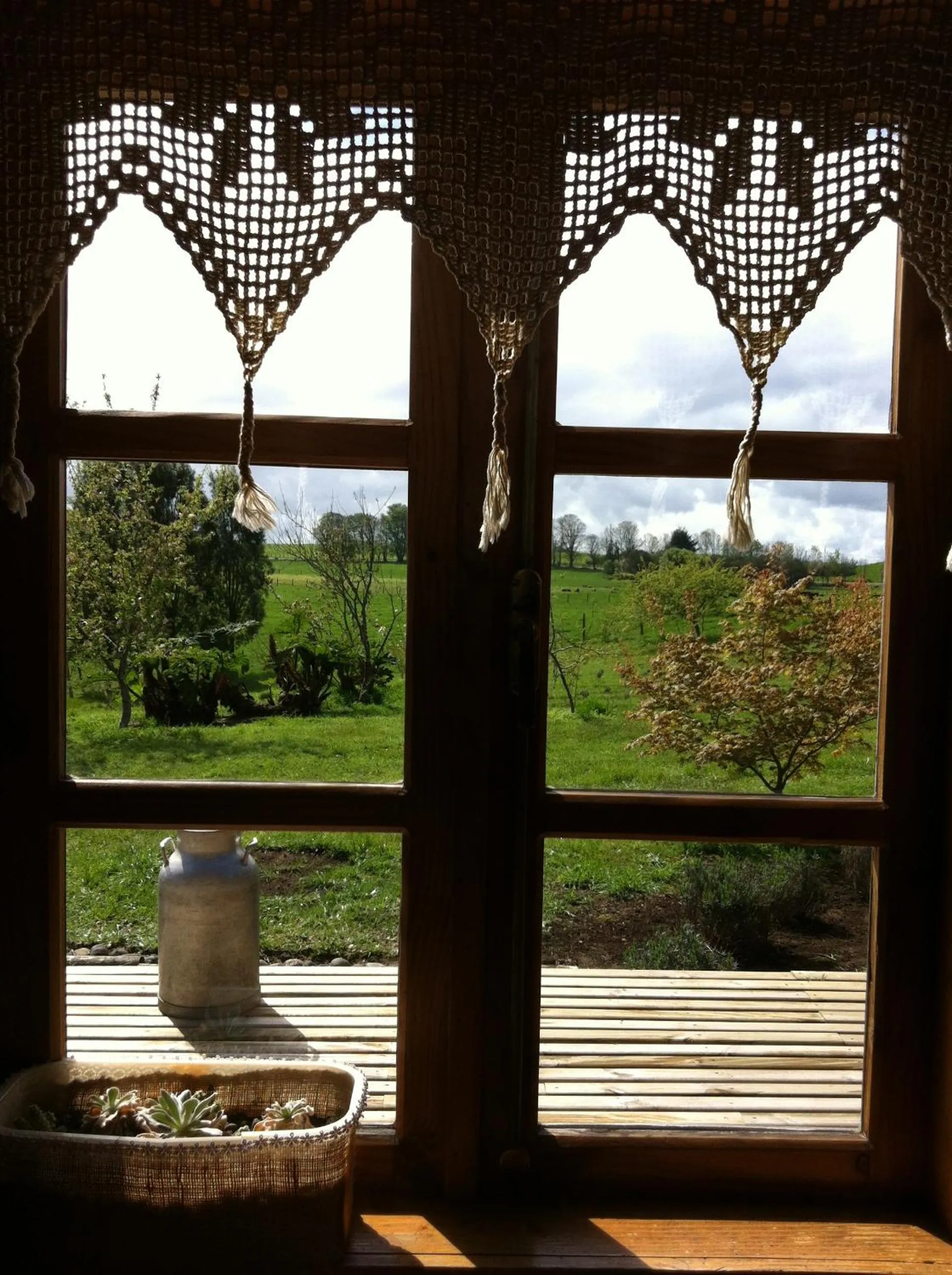 View (from property/room) in Hostal Zapato Amarillo