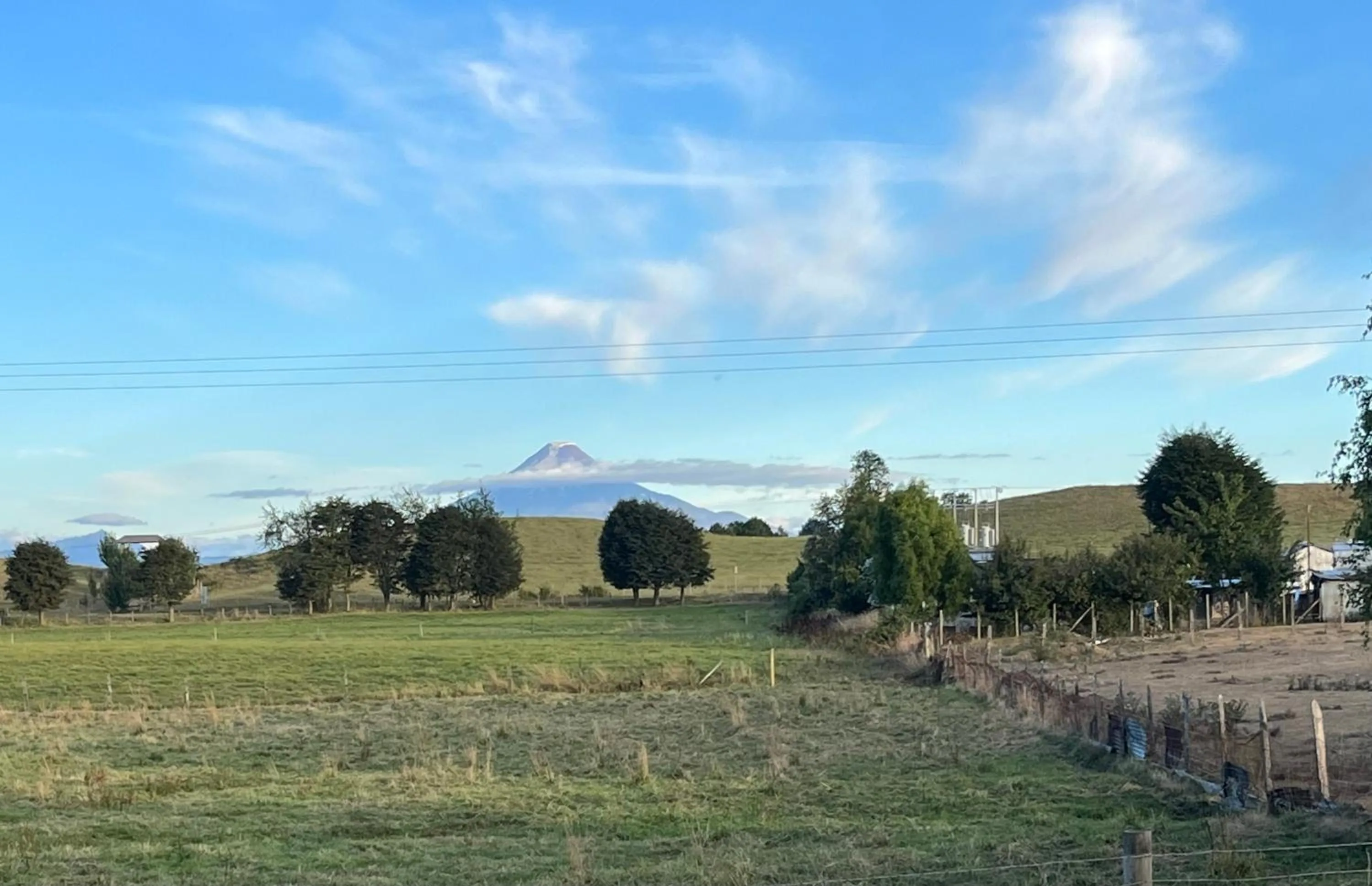 Garden in Hostal Zapato Amarillo