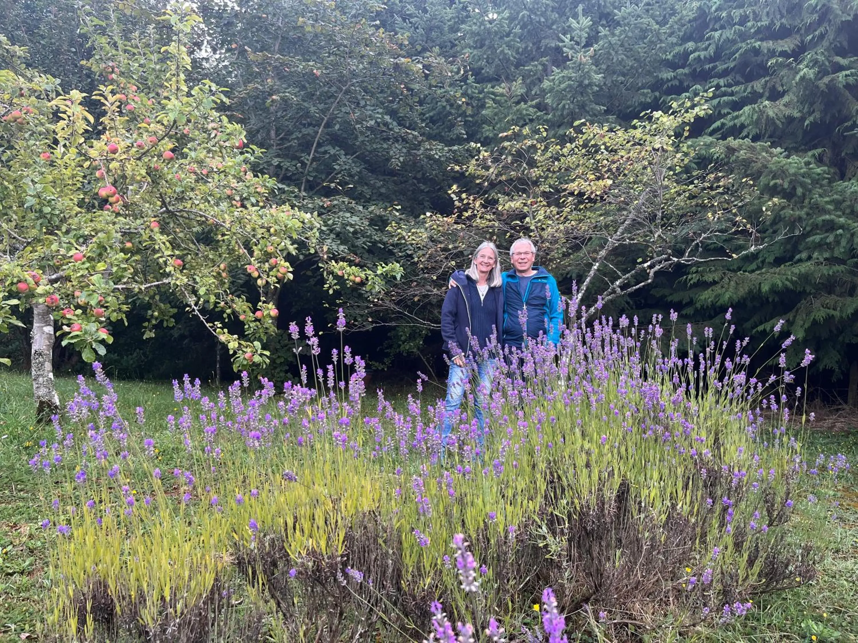 Garden in Hostal Zapato Amarillo