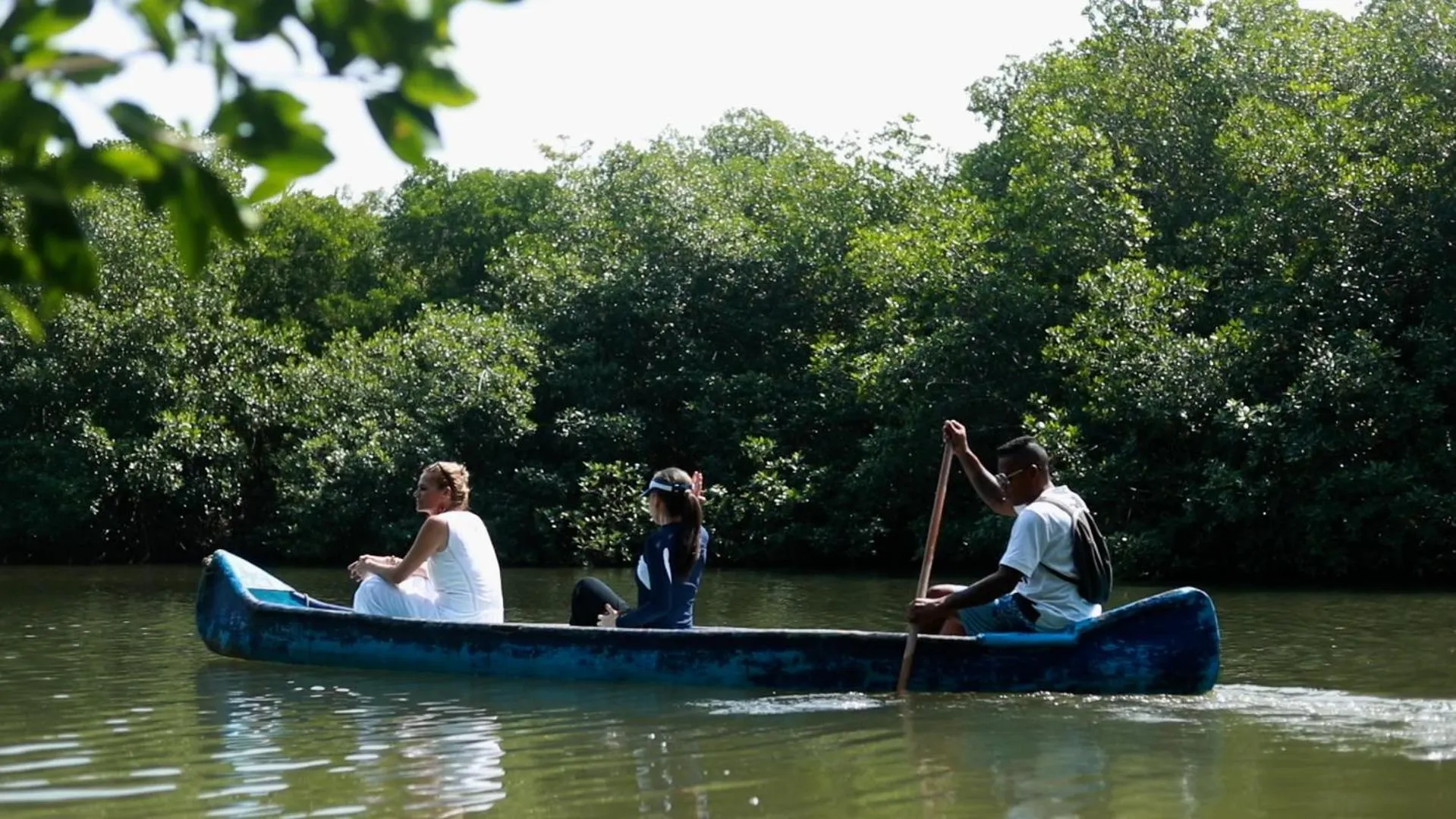 Activities in Hotel Isla del Sol