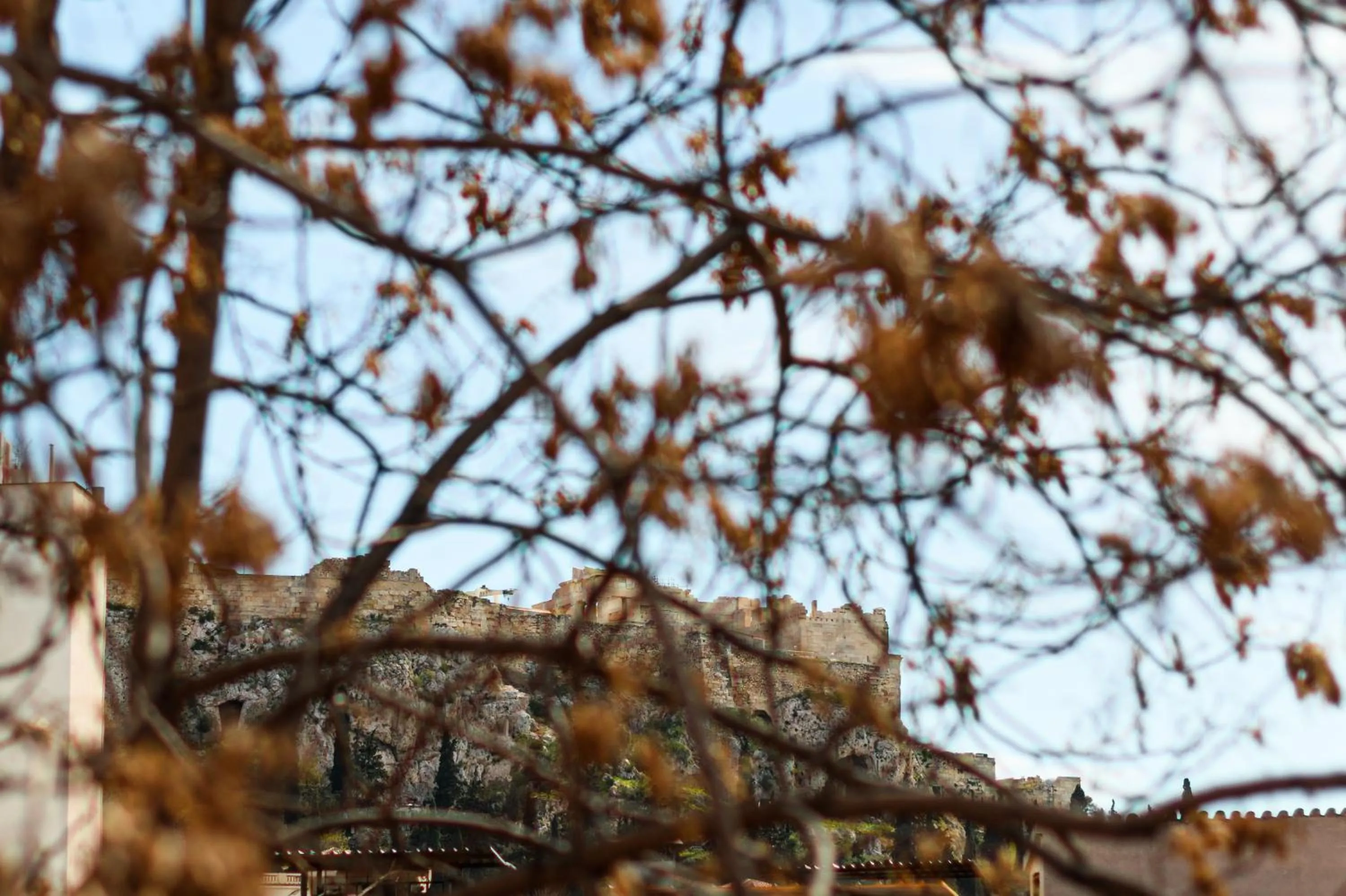 View (from property/room) in Snob Athens