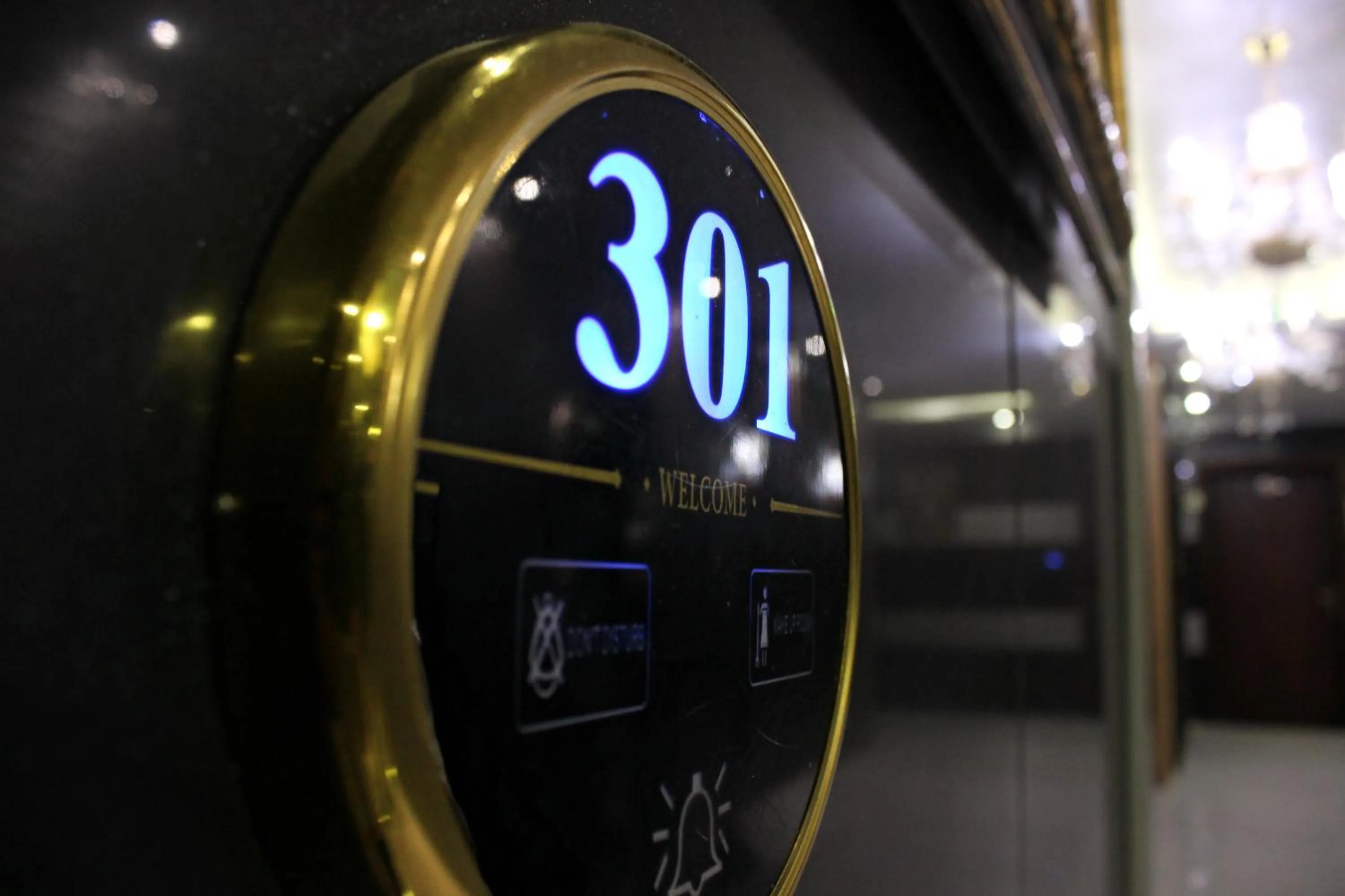 Decorative detail in Rana Palace