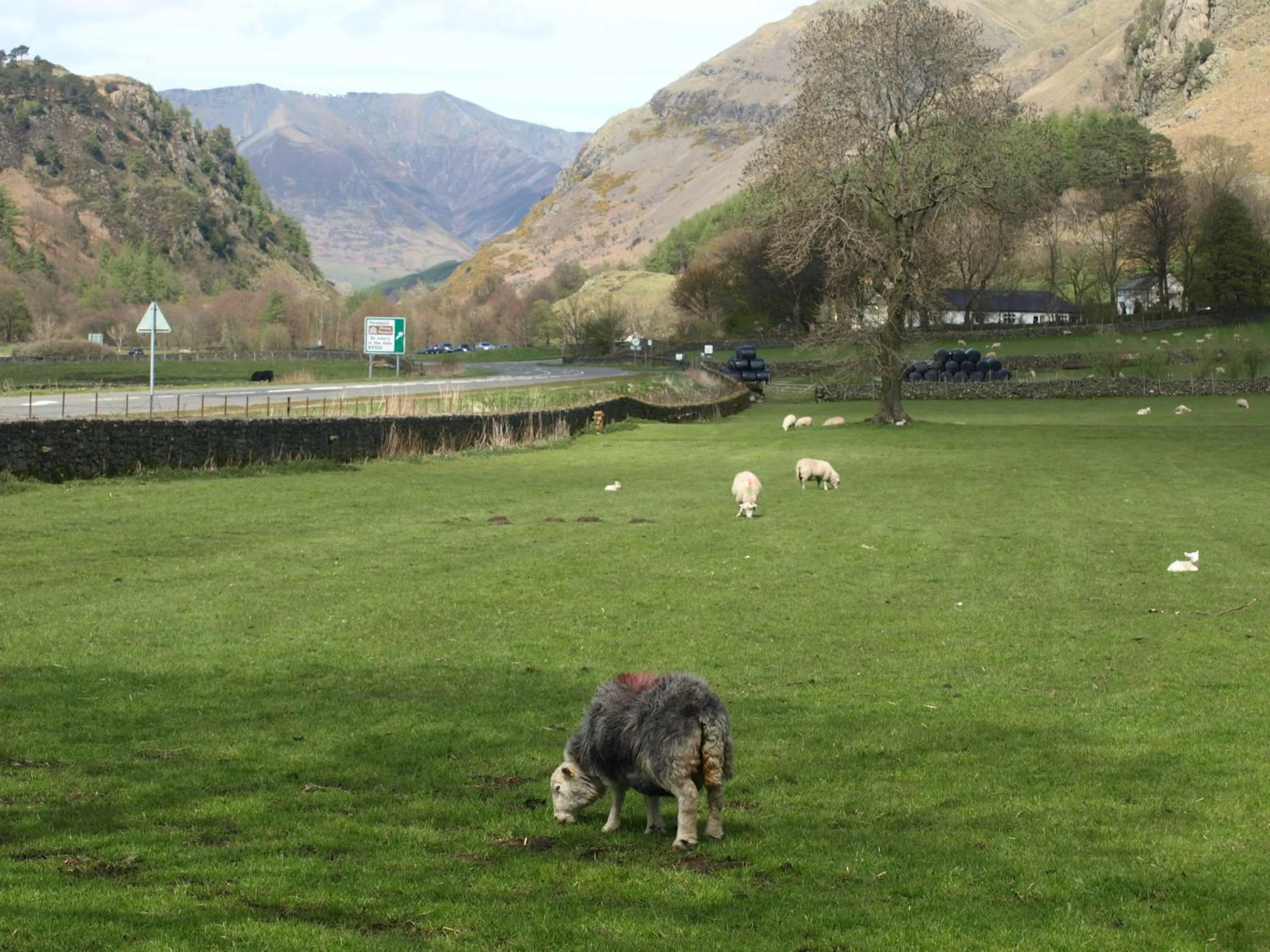 Spring in Barn-Gill House