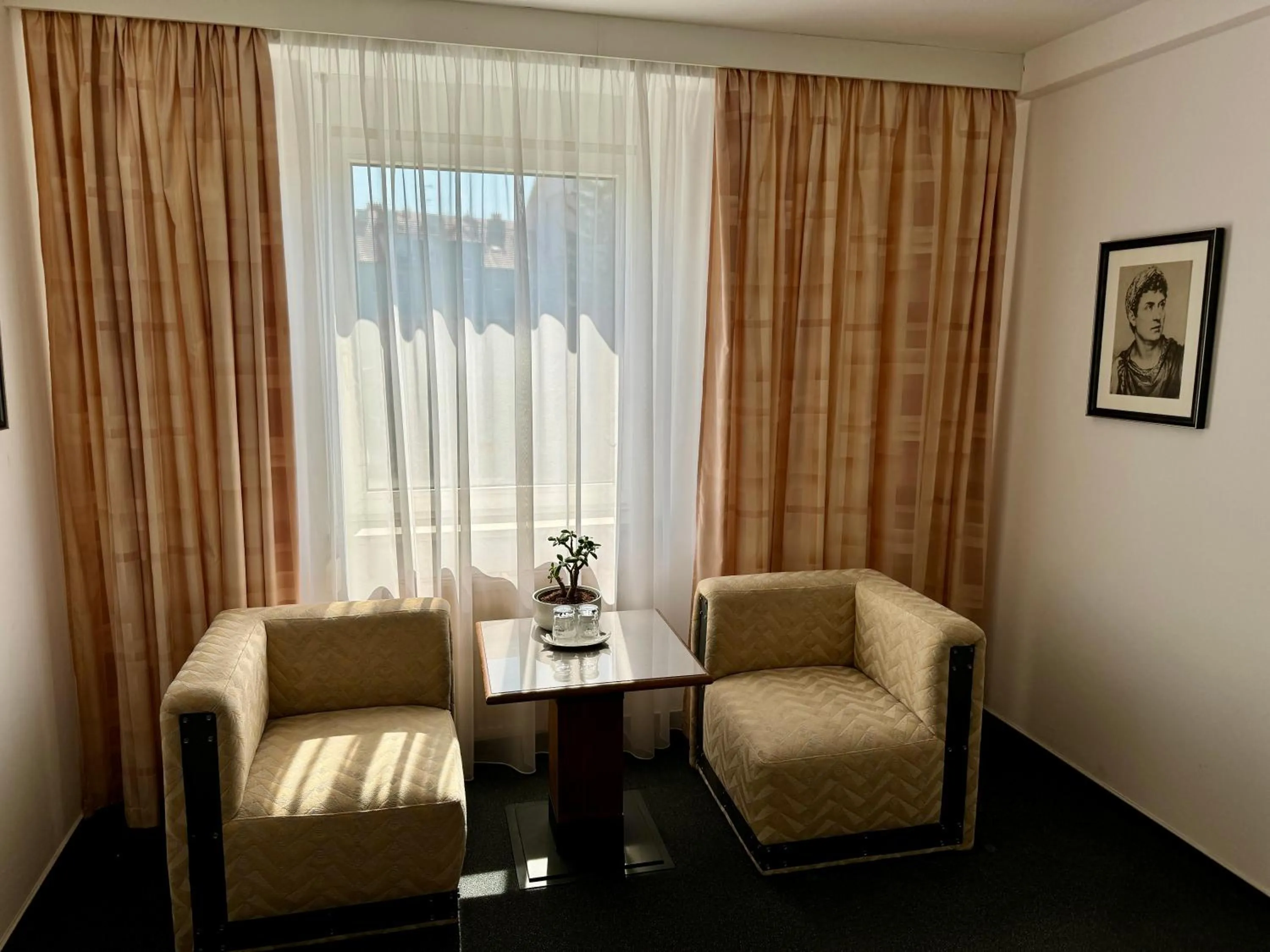 Seating area in A-Austerlitz Hotel