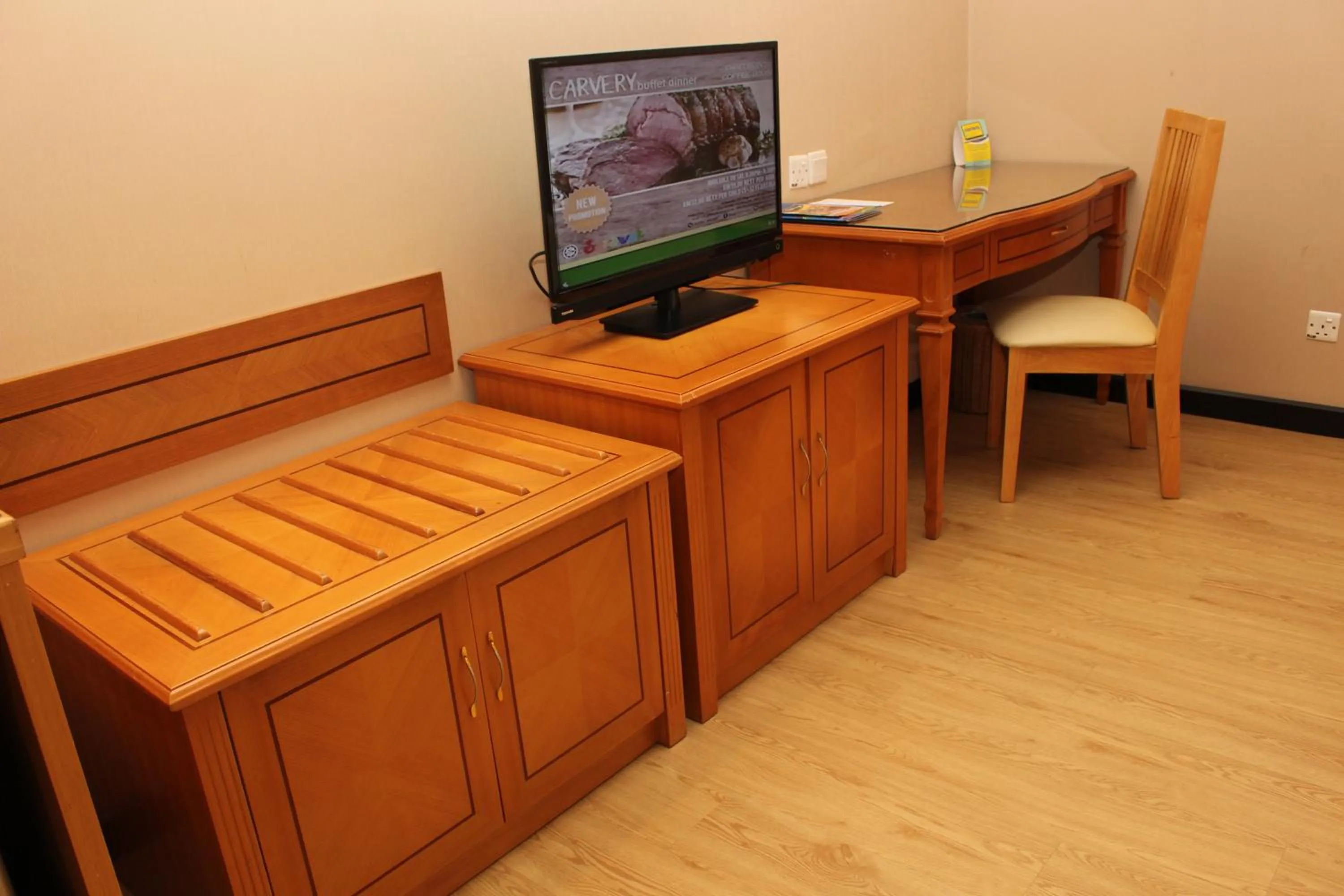 TV and multimedia in Mega Hotel Sdn Bhd