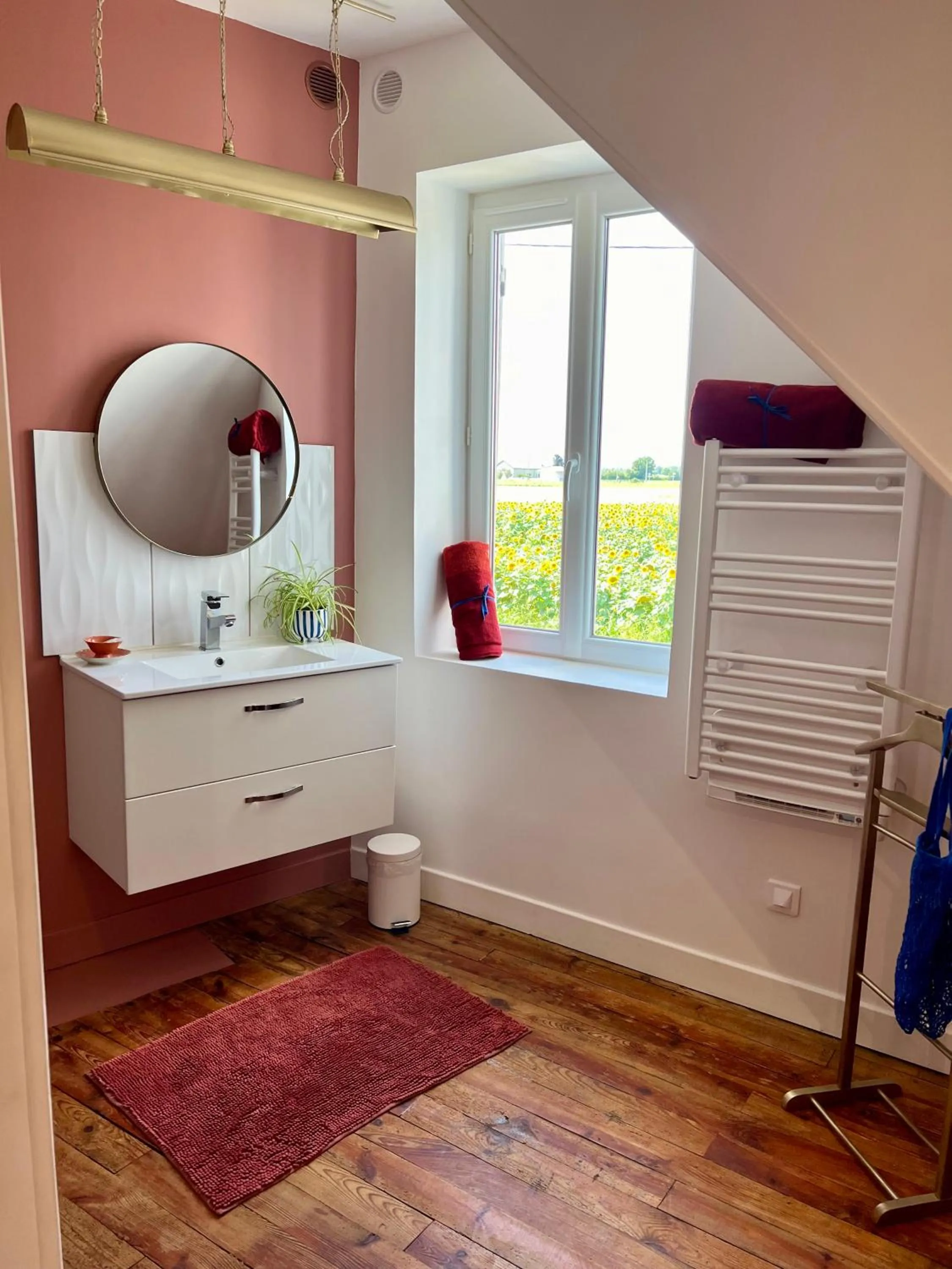 Les hirondelles du marais