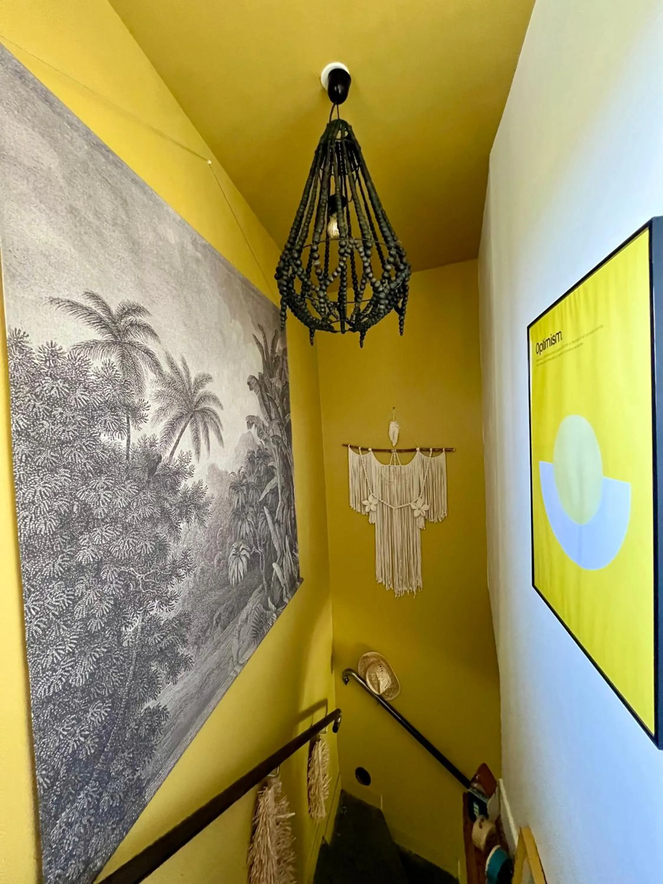 Les hirondelles du marais