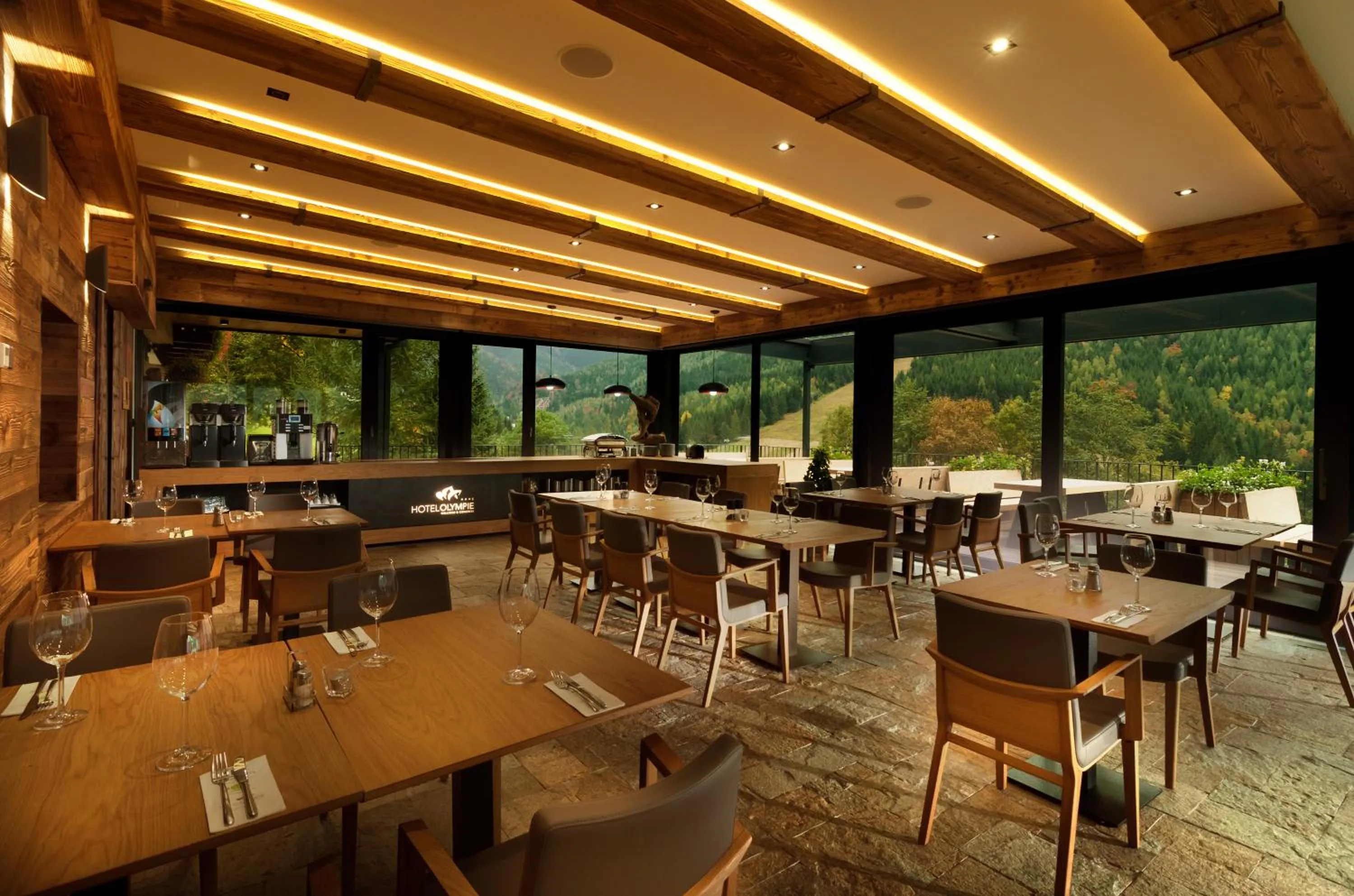 Patio in Hotel Olympie