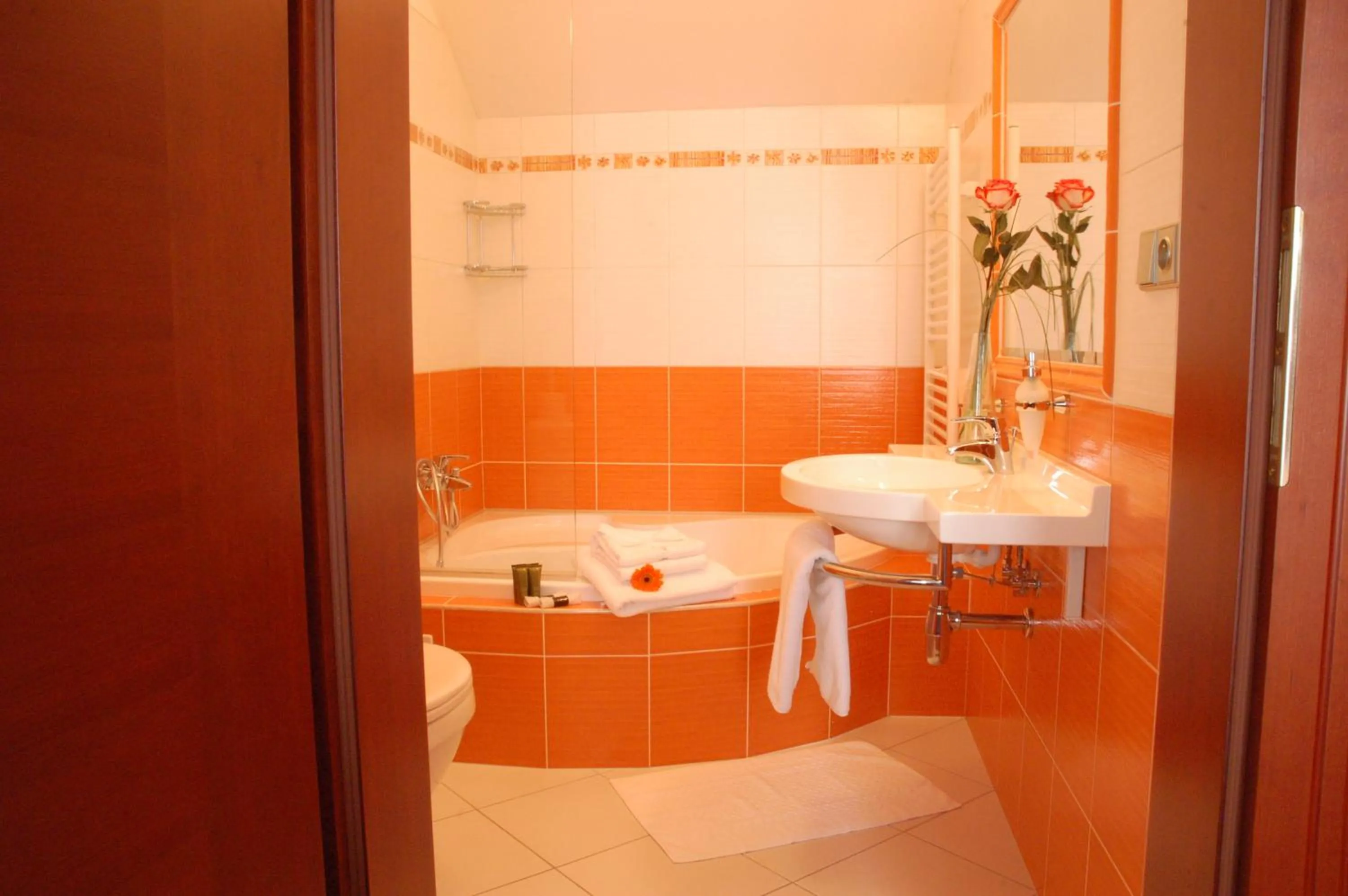 Bathroom in Komorni Hurka