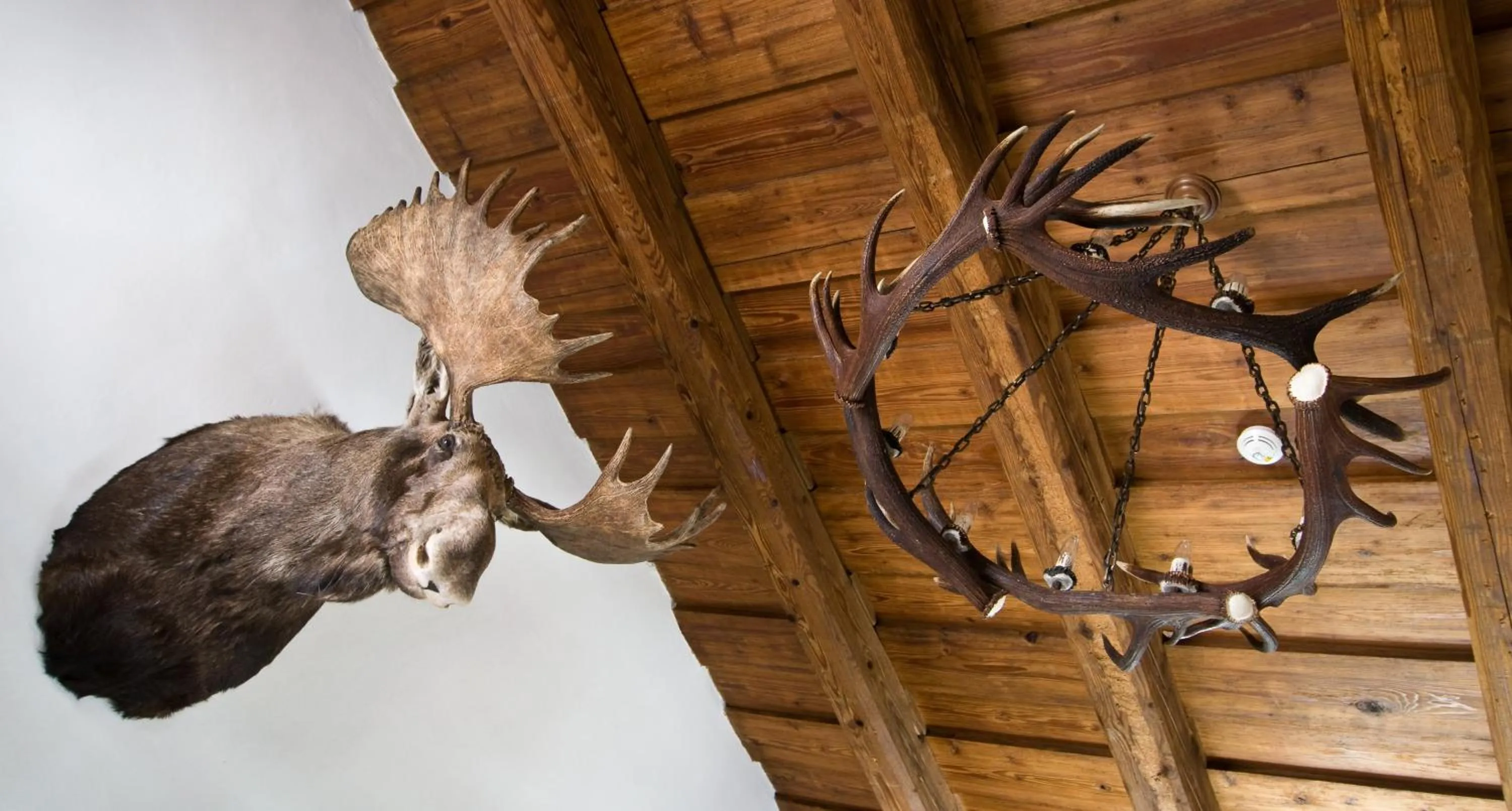 Zámek Zábřeh hotel & pivovar