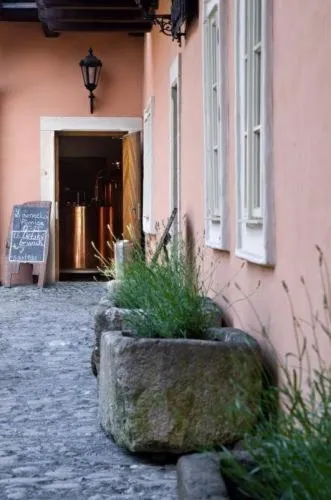 Facade/entrance in Zamek Zabreh