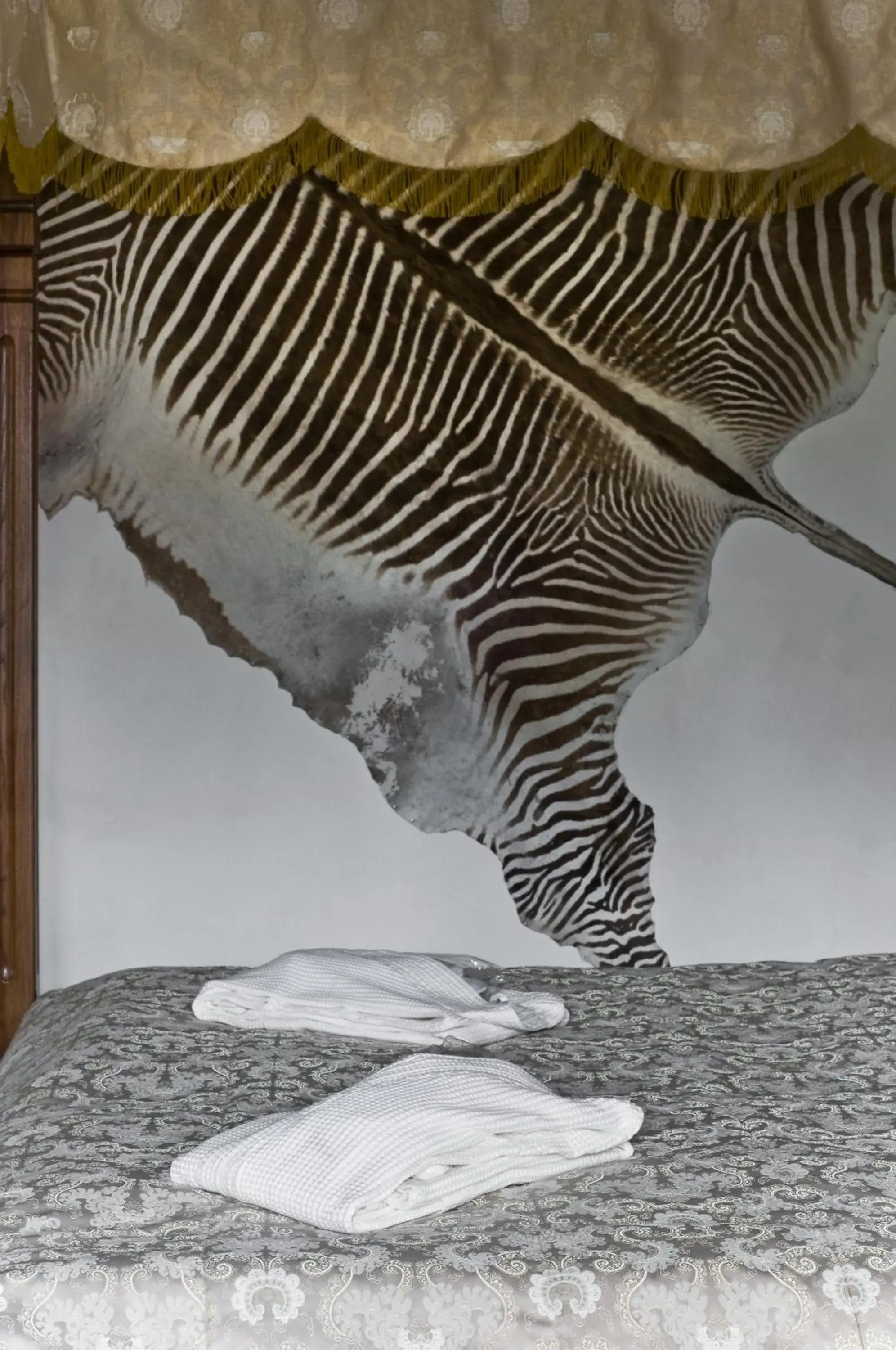 Executive Apartment in Zamek Zabreh Executive Apartment in Zamek Zabreh