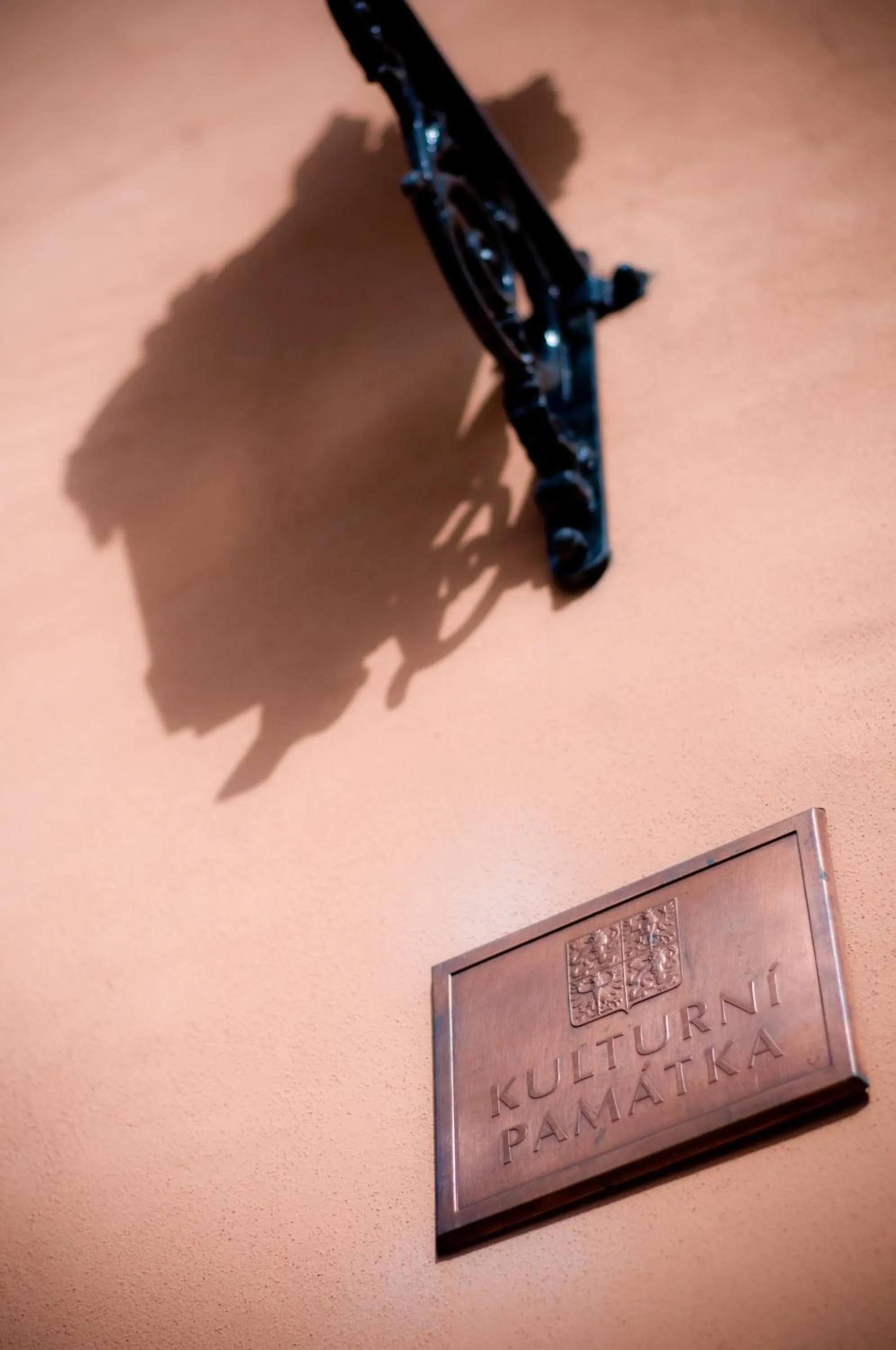 Decorative detail in Zamek Zabreh