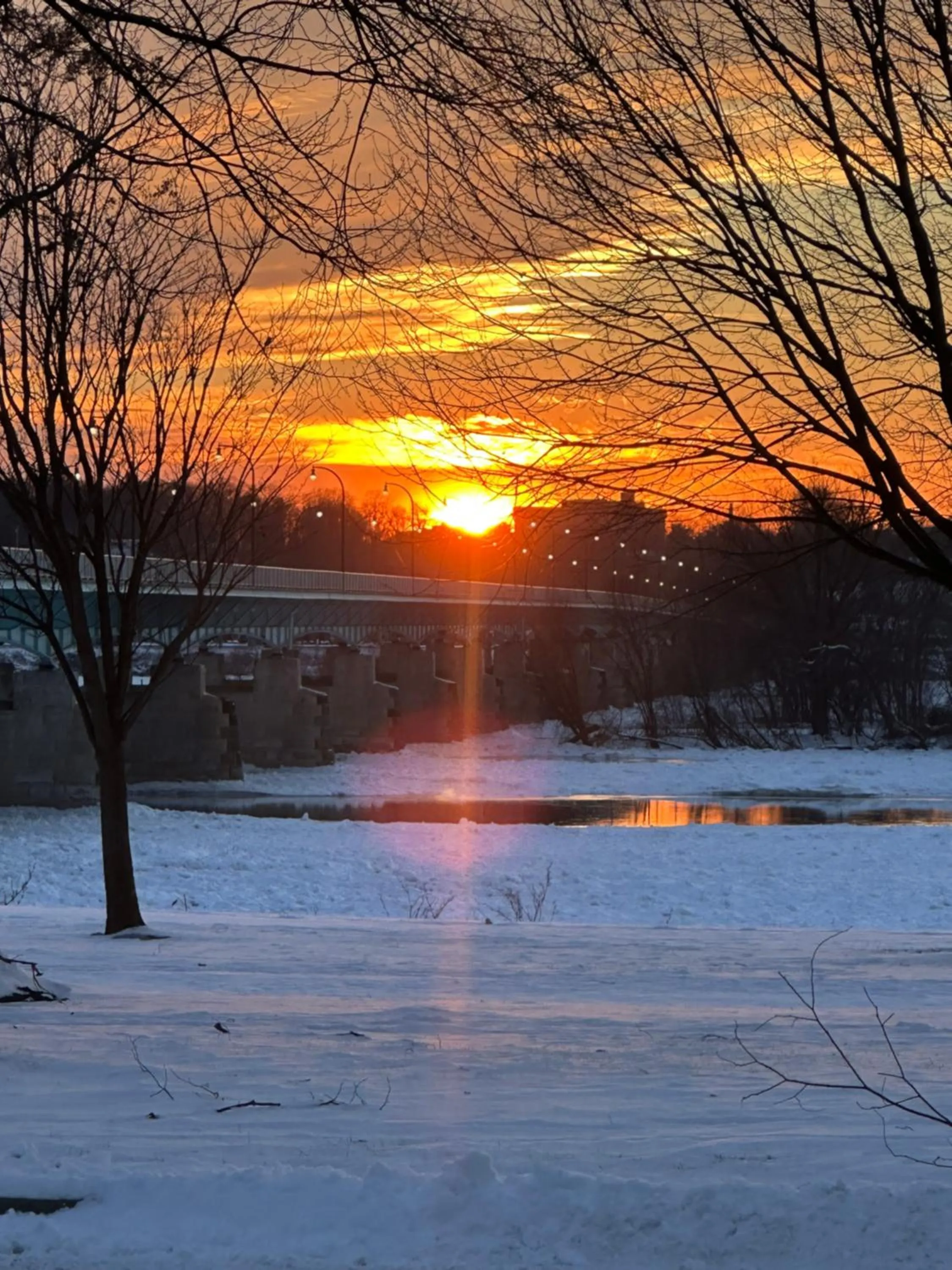 View (from property/room) in City House Bed and Breakfast
