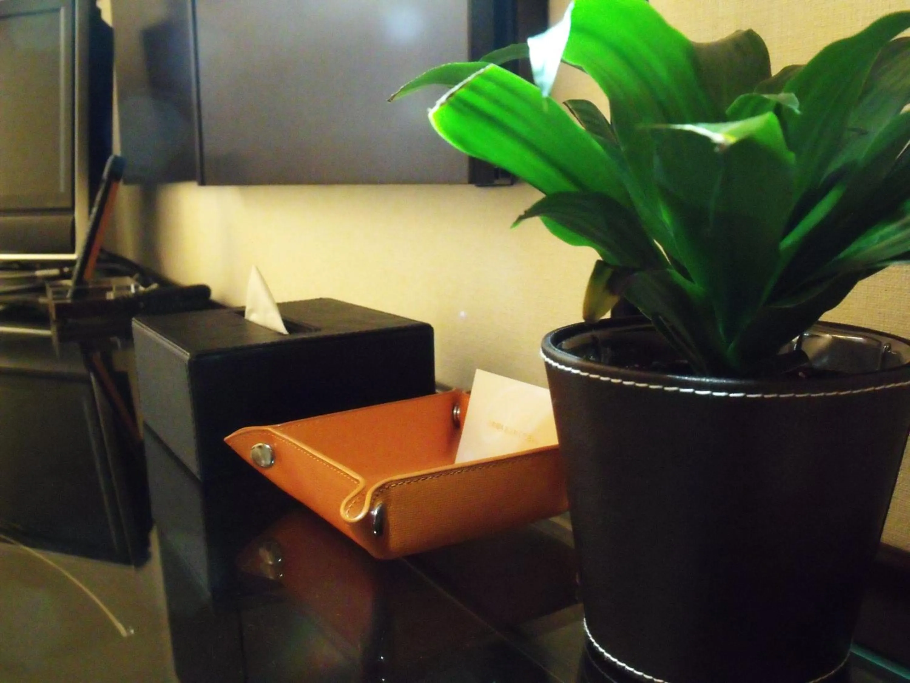 Other in Hotel Tenjin Place