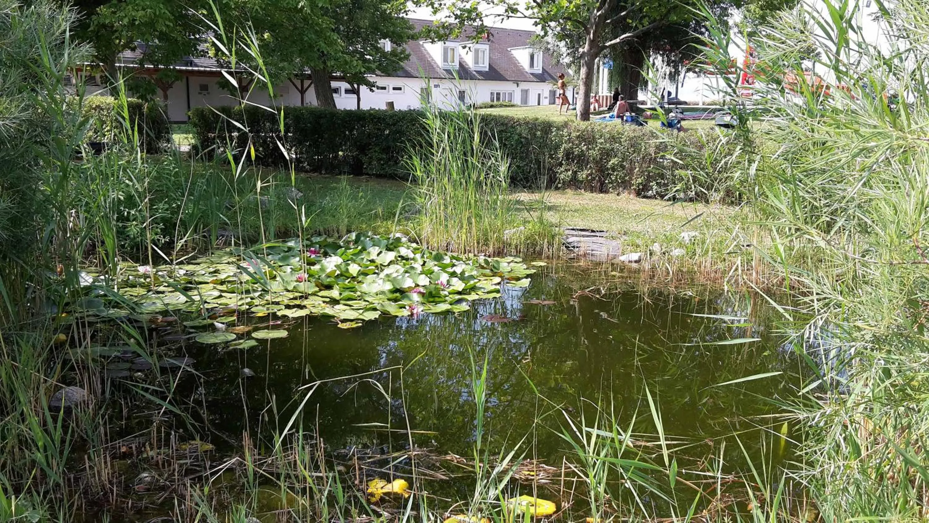 Garden in Hotel am See Rust