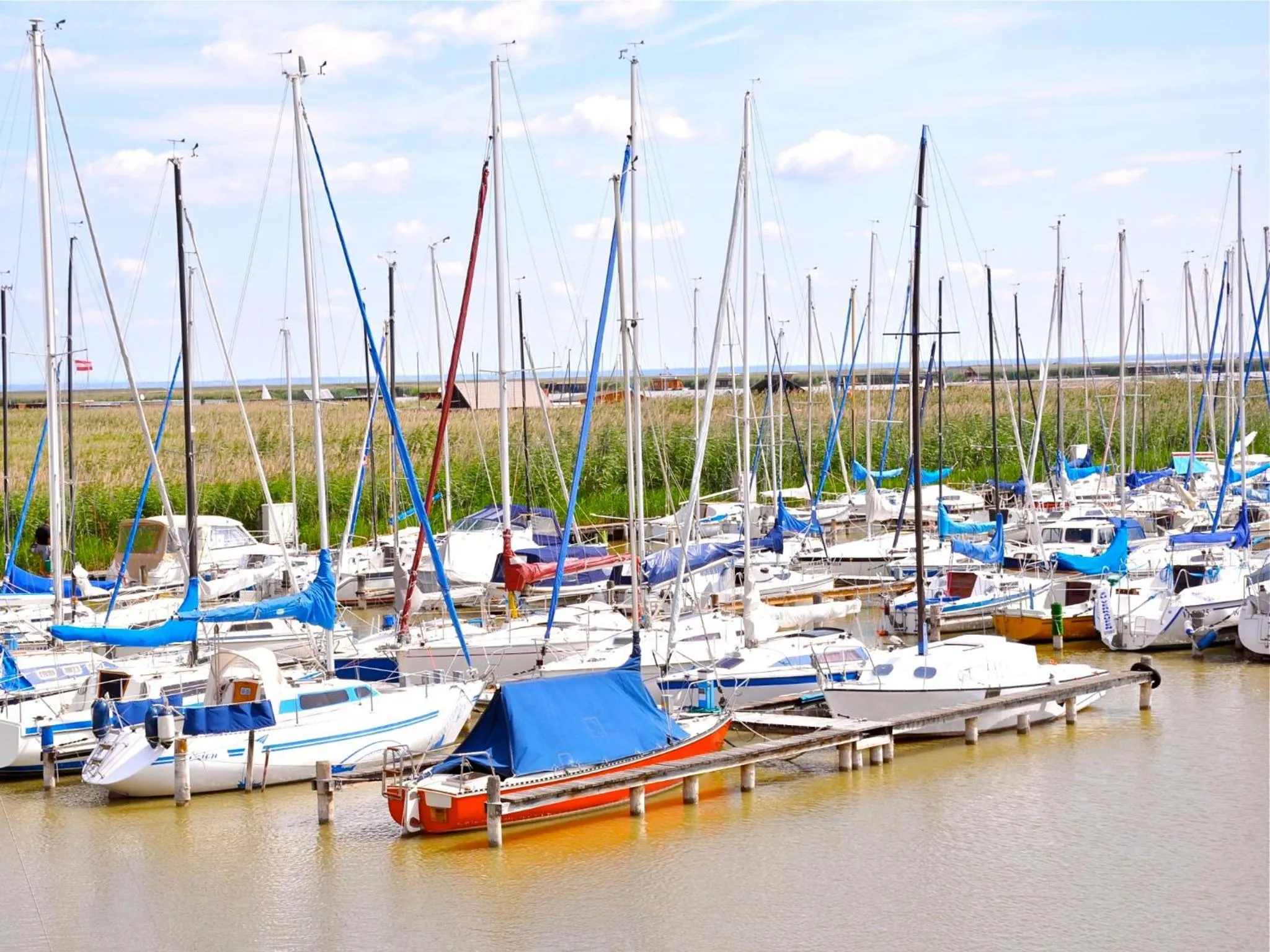 Area and facilities in Hotel am See Rust