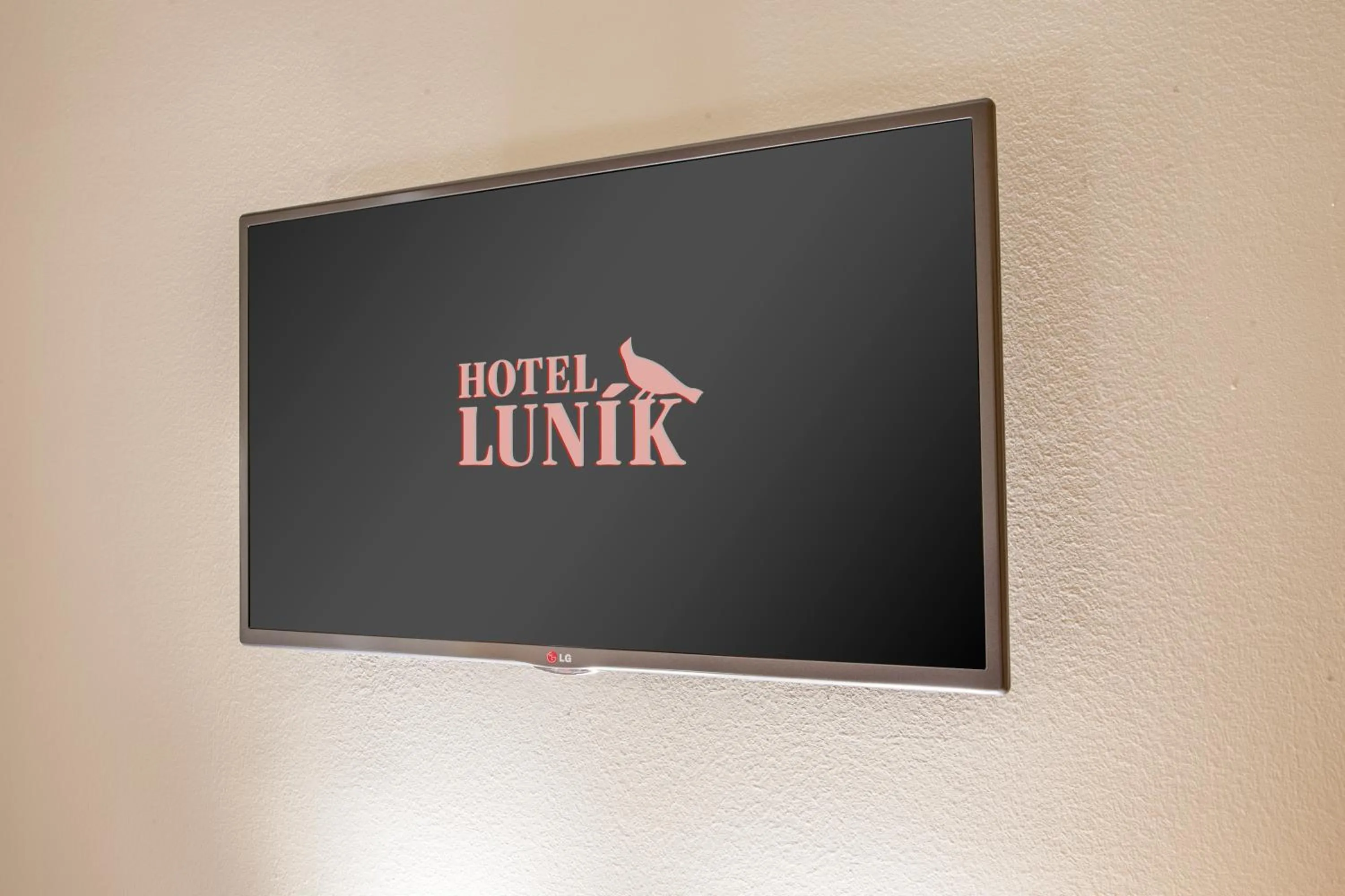 TV and multimedia in Hotel Lunik