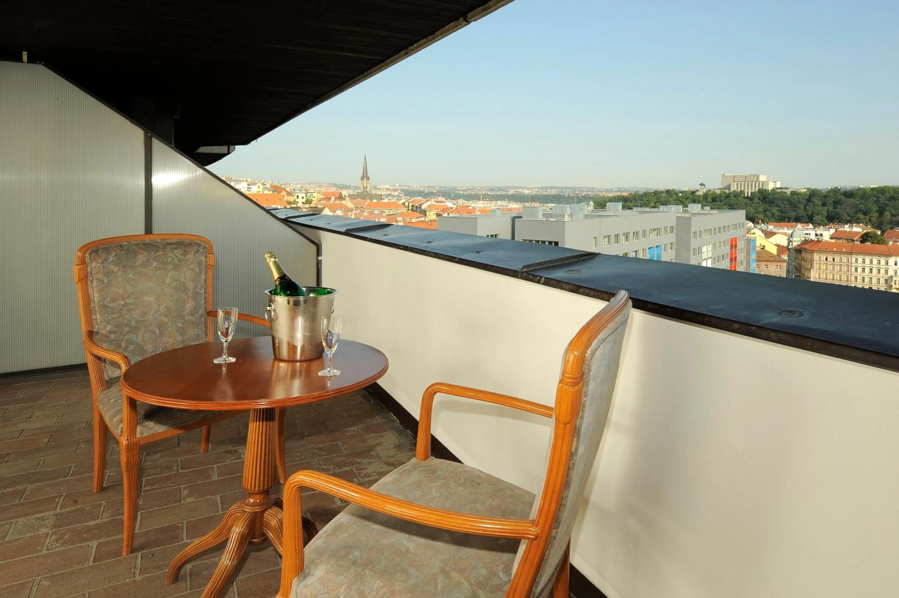 View (from property/room) in Congress & Wellness Hotel Olsanka