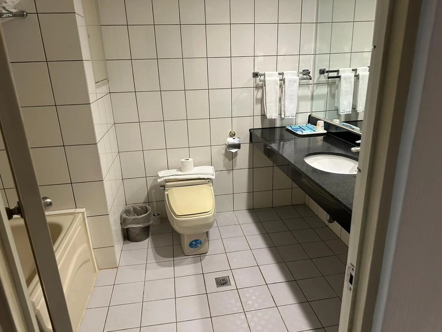 Toilet in Hotel Avenue