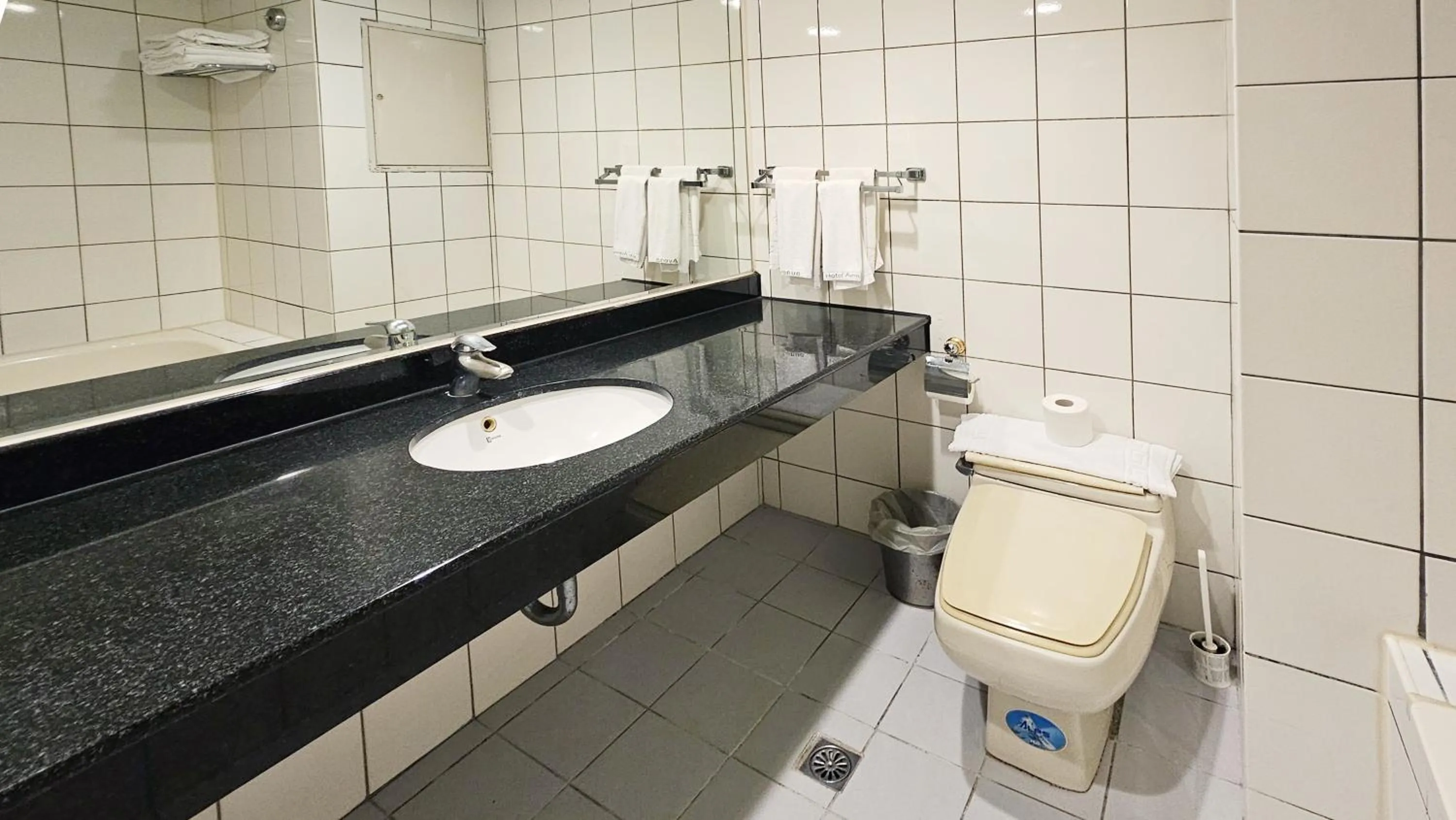 Bathroom in Hotel Avenue